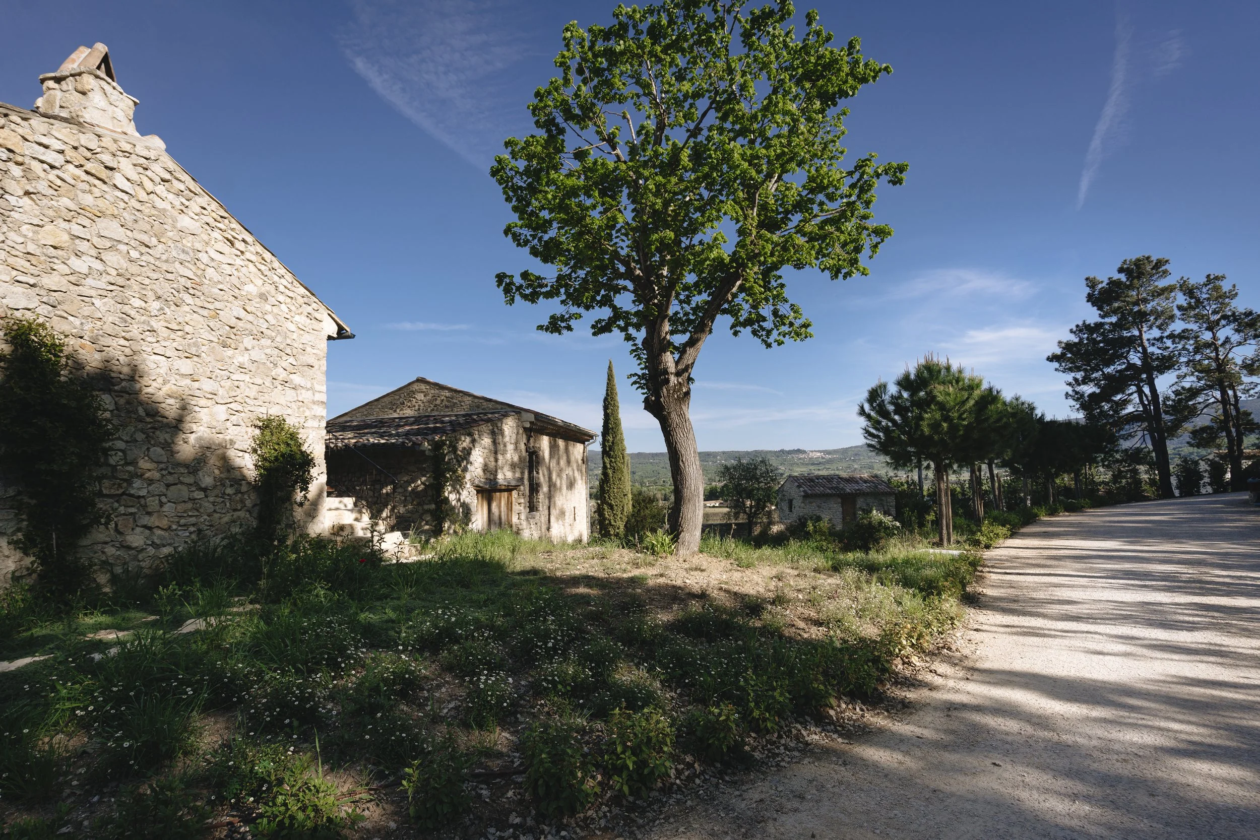 Goult - 20260418 - 17.48.36 - 2A704178 - © MORREC.jpg