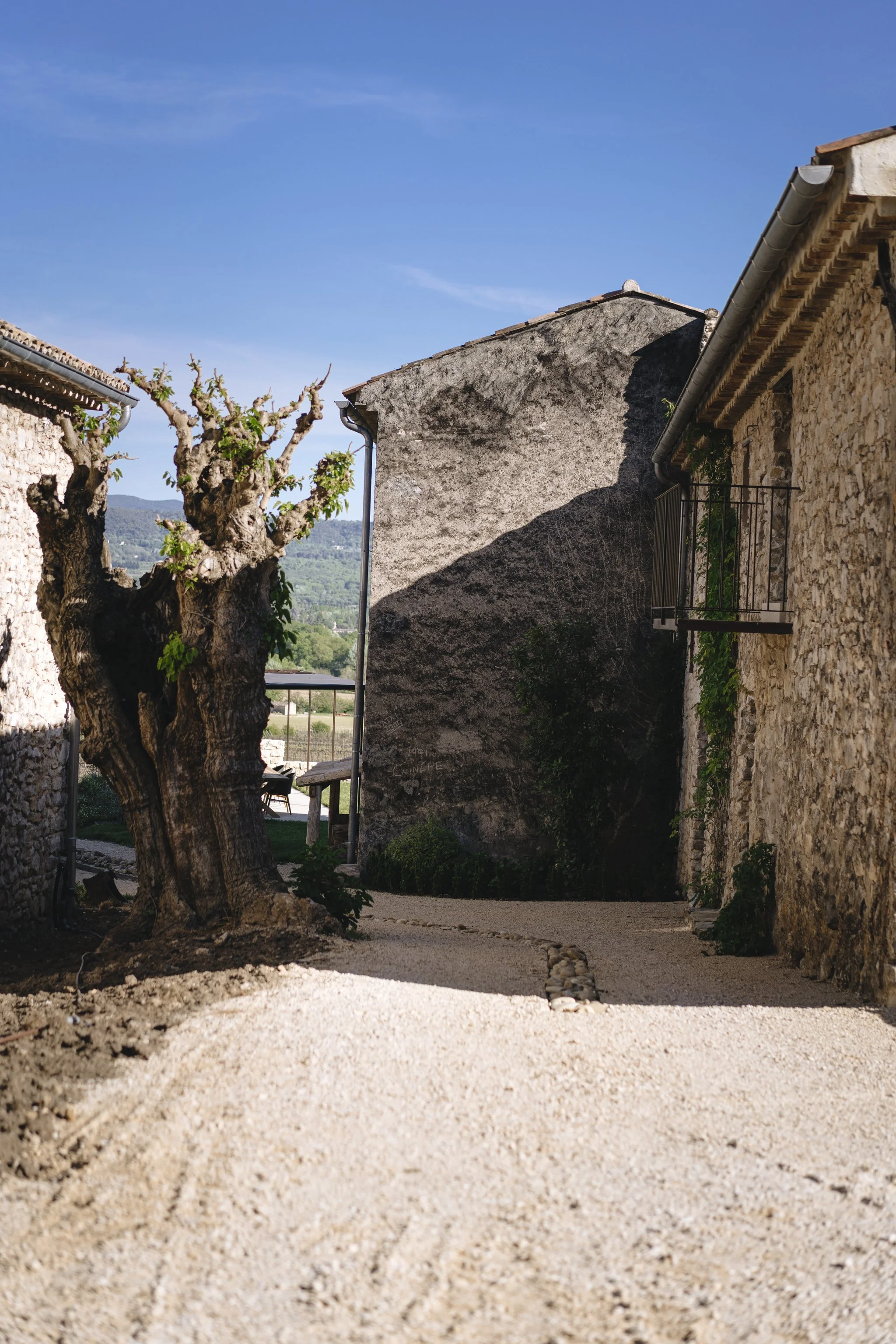Goult - 20260418 - 17.49.22 - 1A707947 - © MORREC.jpg