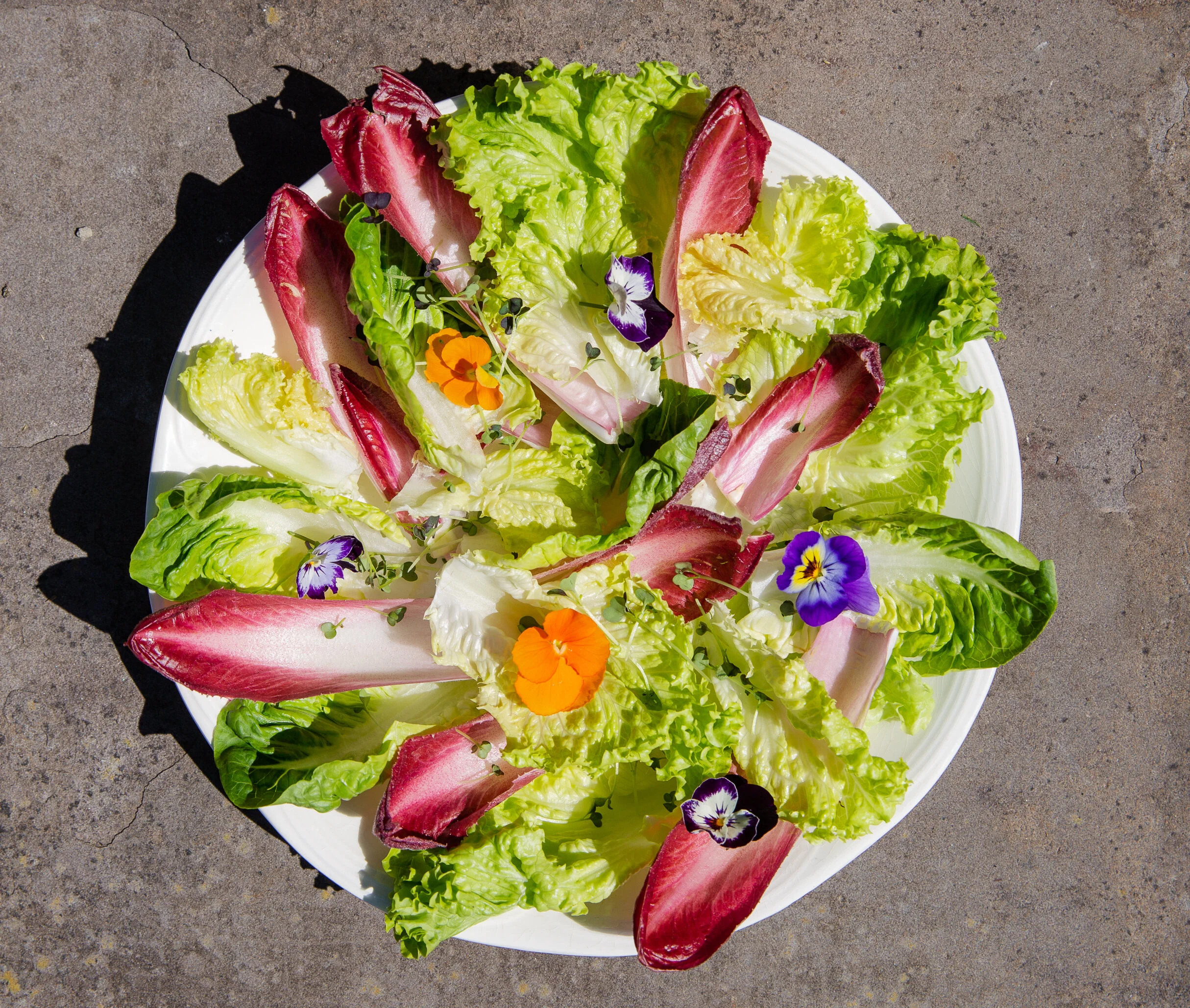 Leafy salad with flowers