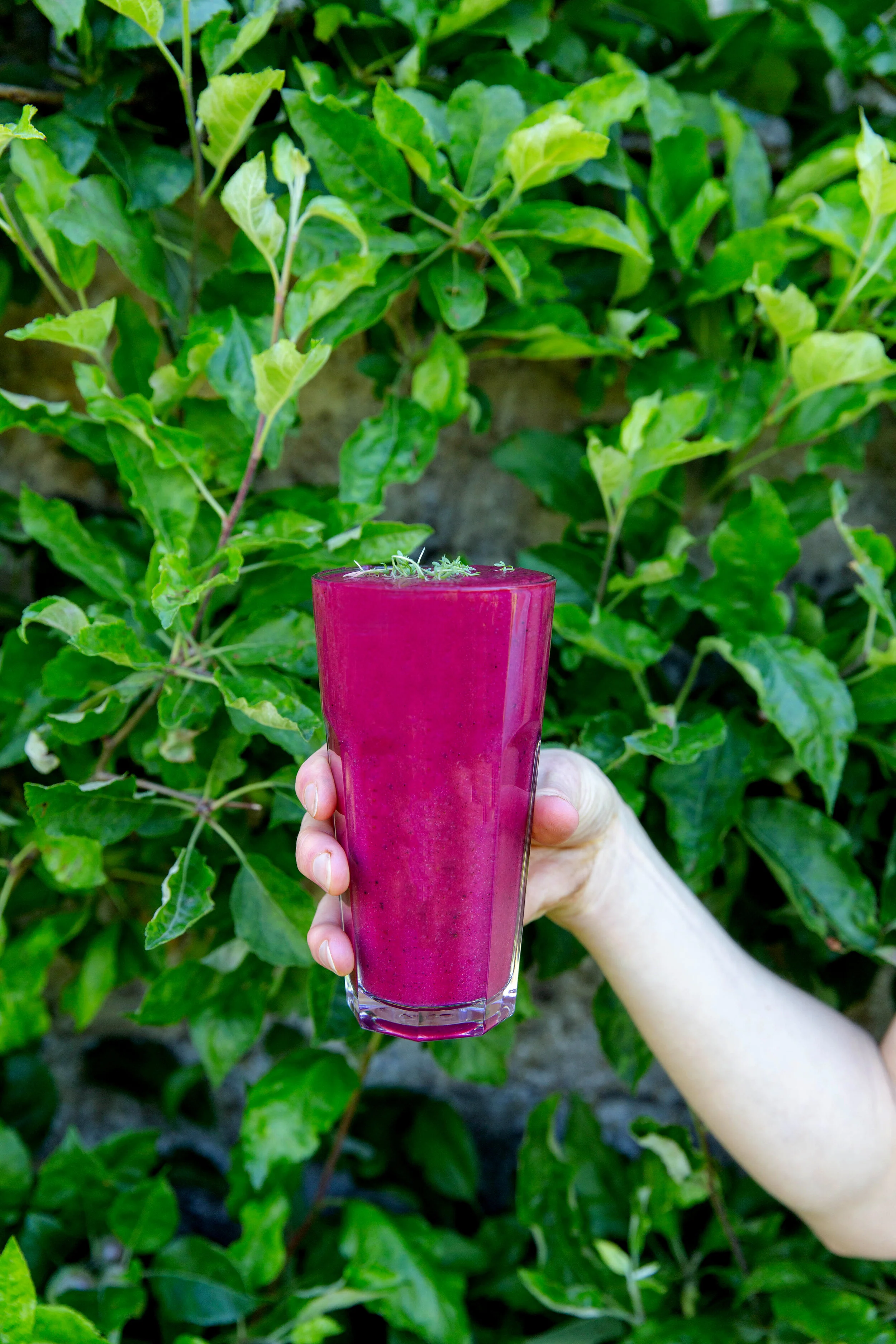 Smoothie