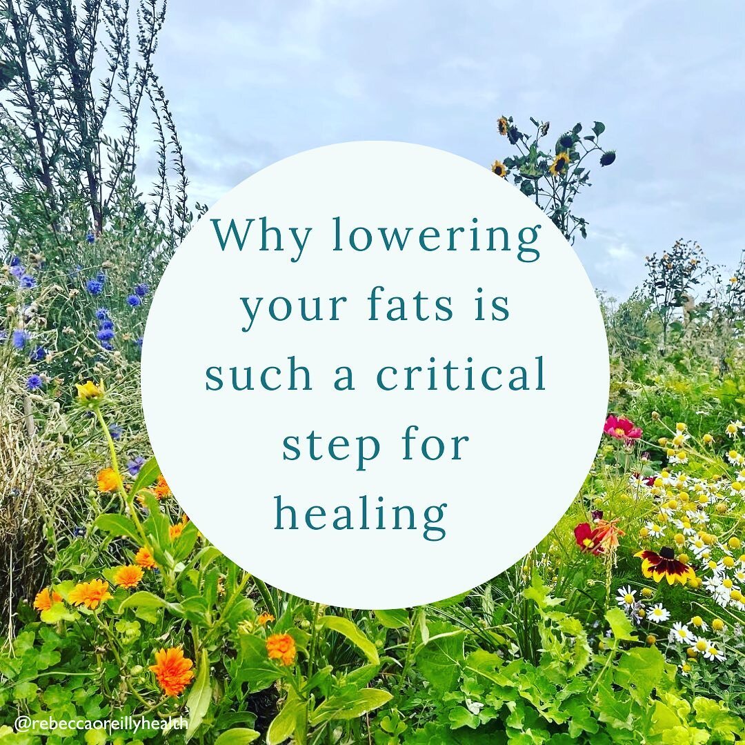 Why lowering your fats is such a key step for healing and health 🌟

Learning how to lower your fats safely and effectively is probably THE most critical step on the healing journey, and one of the hardest. But it&rsquo;s also important for overall h