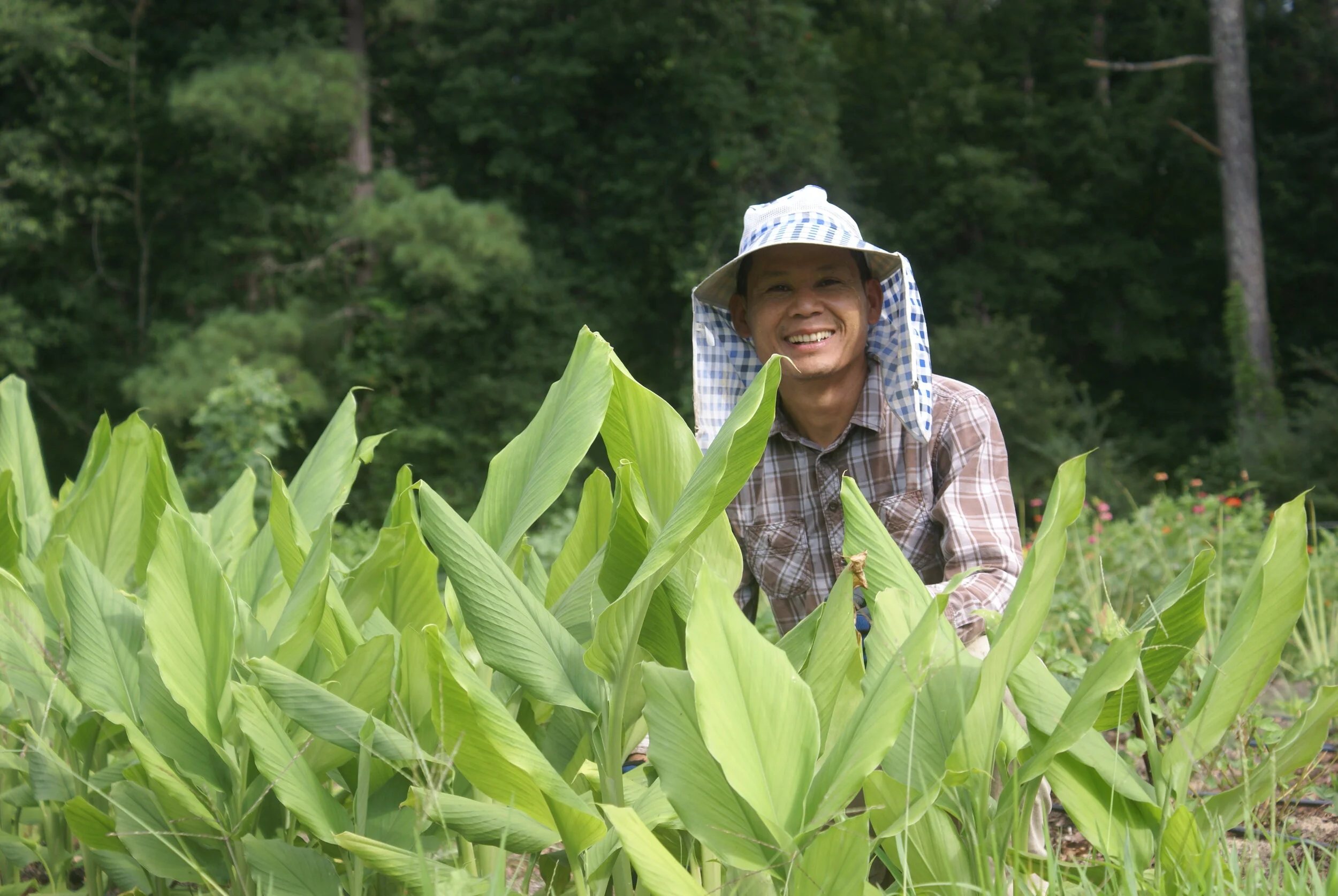 Htoo Saw with turmeric 
(Photo by Dee Shore, NC State University)