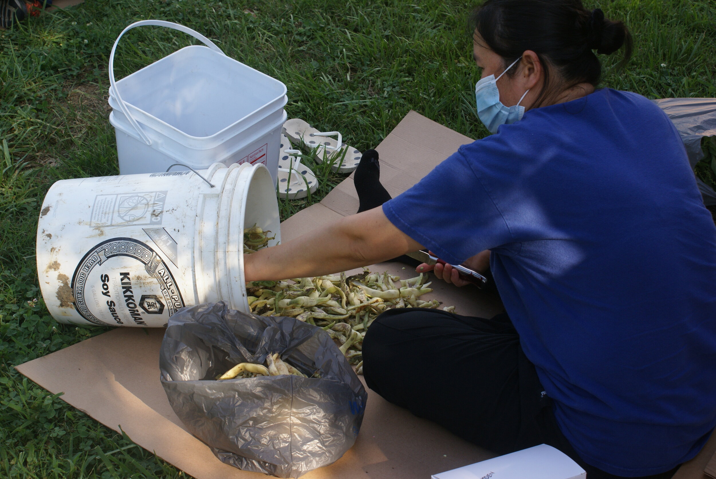 Kee Lar cutting Beans