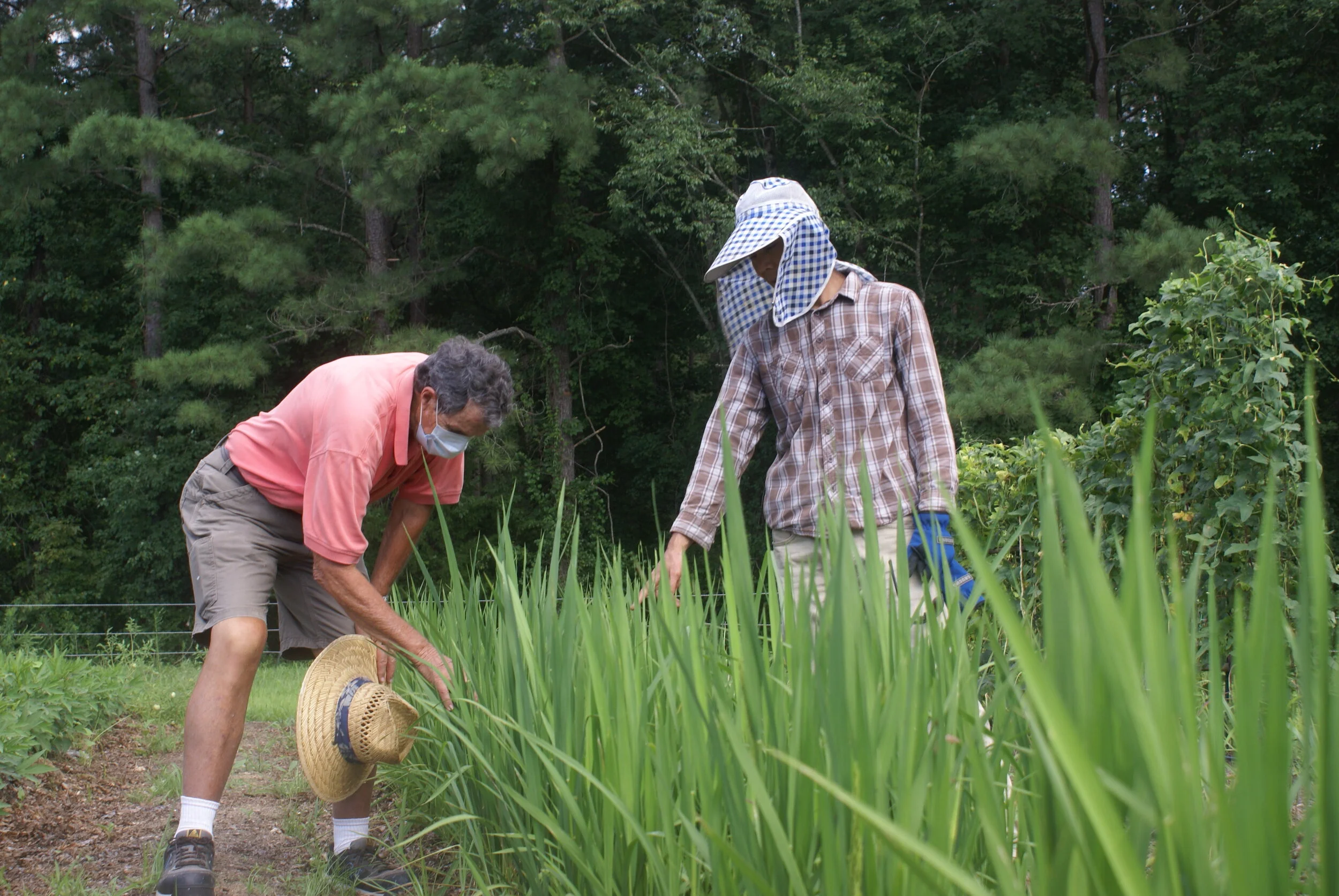 Htoo Saw and Talmage with rice 
(Photo by Dee Shore, NC State University)