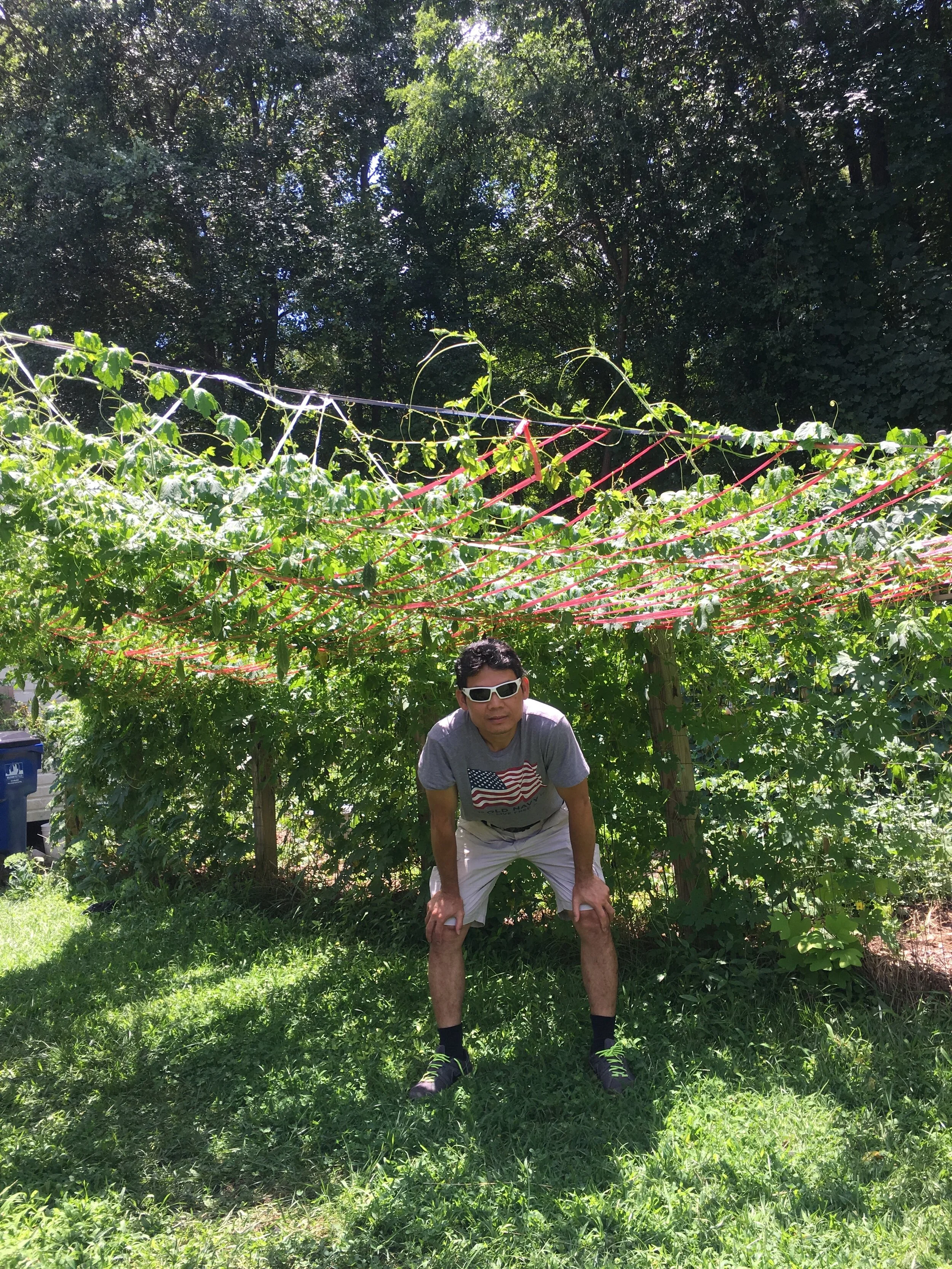 Htoo Saw with Bitter Melon Vines