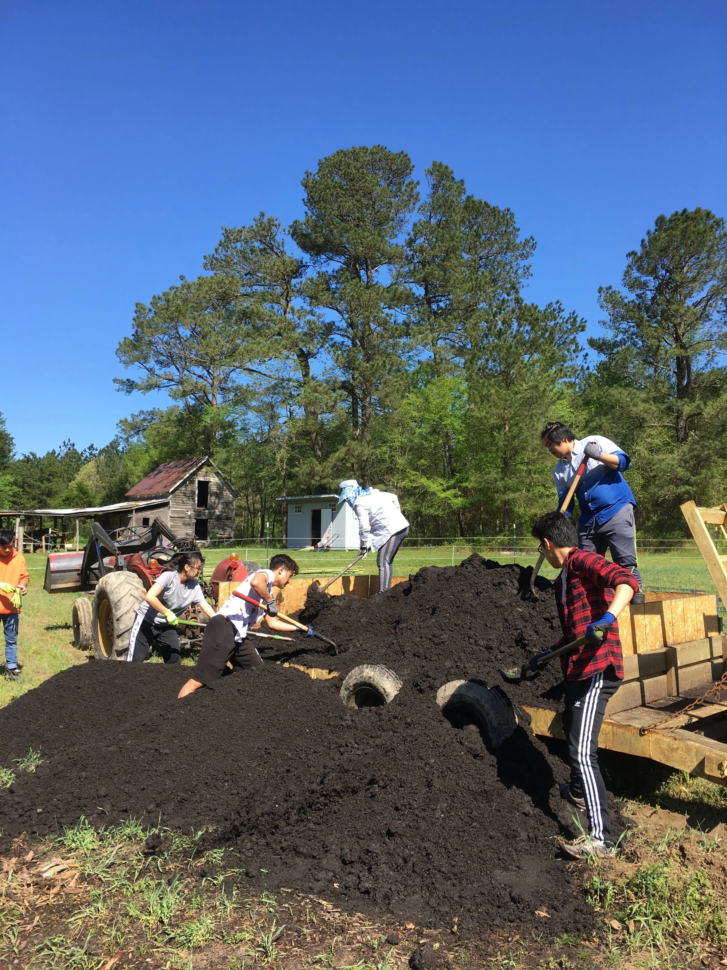 Many hands make light work!