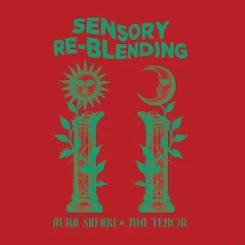 Aura Safari &  Jimi Tenor	- Sensory Re-Blending