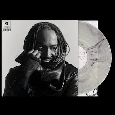 Thundercat_BF165N copia.jpg
