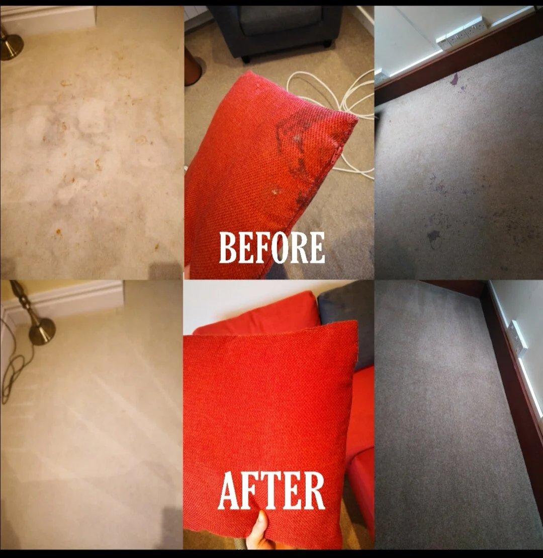 Westbourne Carpet cleaning — DC Carpet cleaning ltd