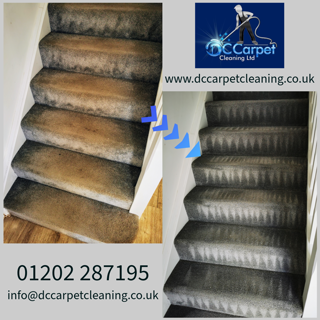 Who Offers Eco-Friendly Carpet Cleaning in Poole?