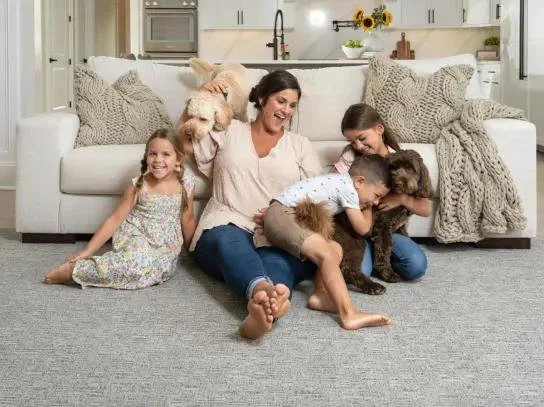 Family home with pet on sofa and carpet