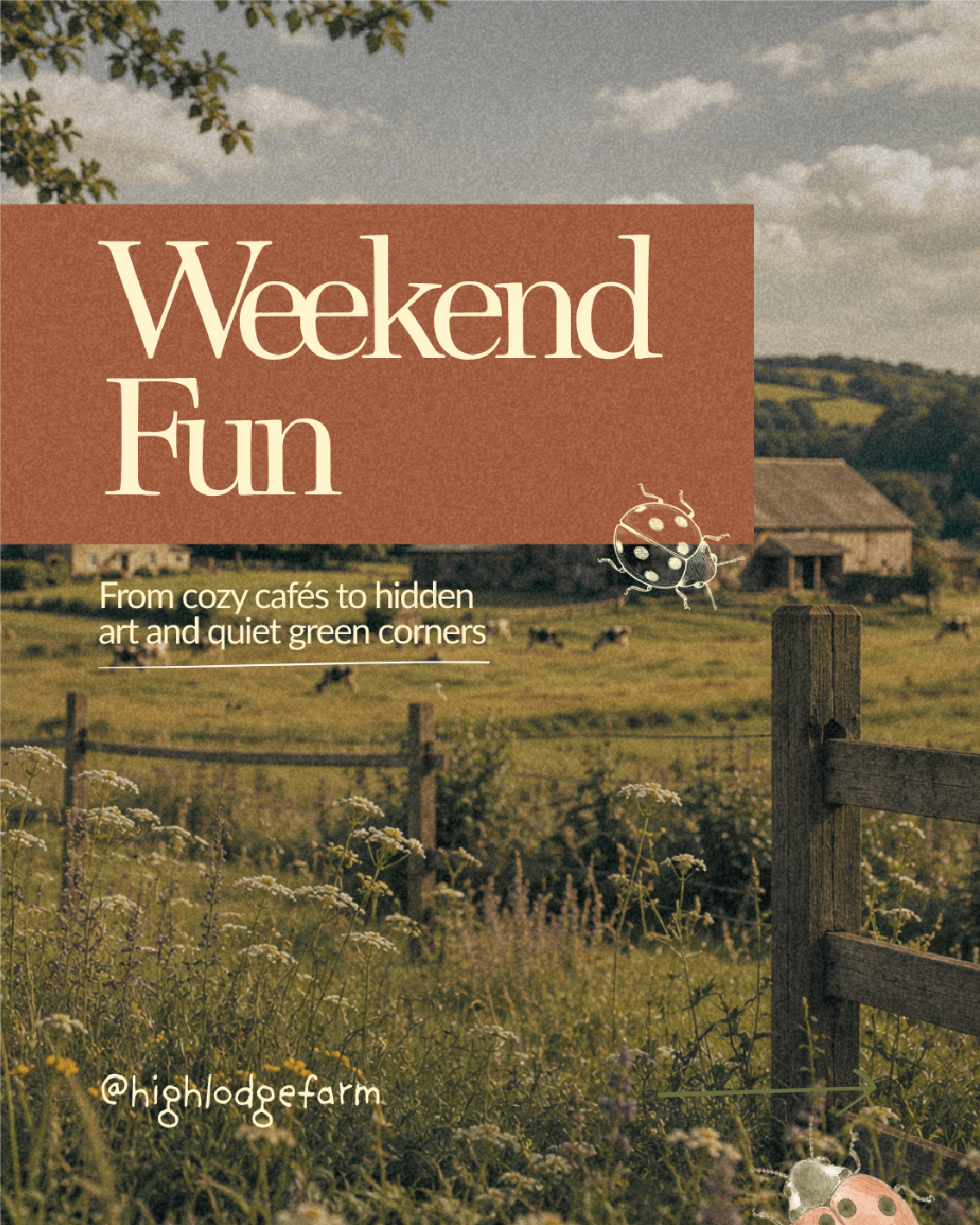 High Lodge Farm_Branding_Final08062026-29.png