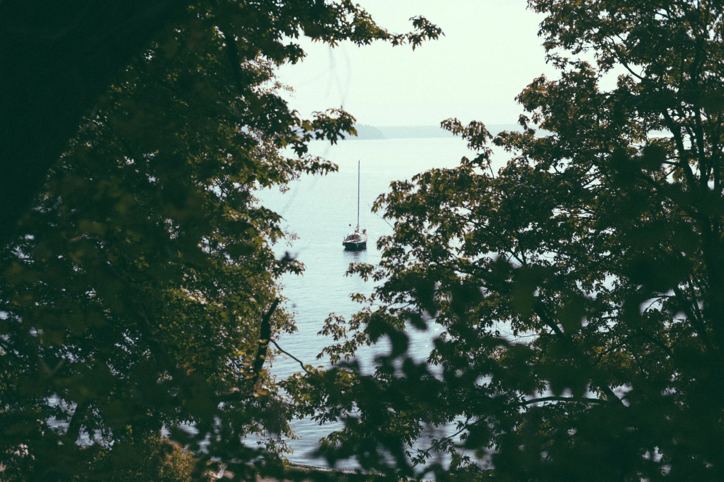 Seattle-LR-14 (1).jpg