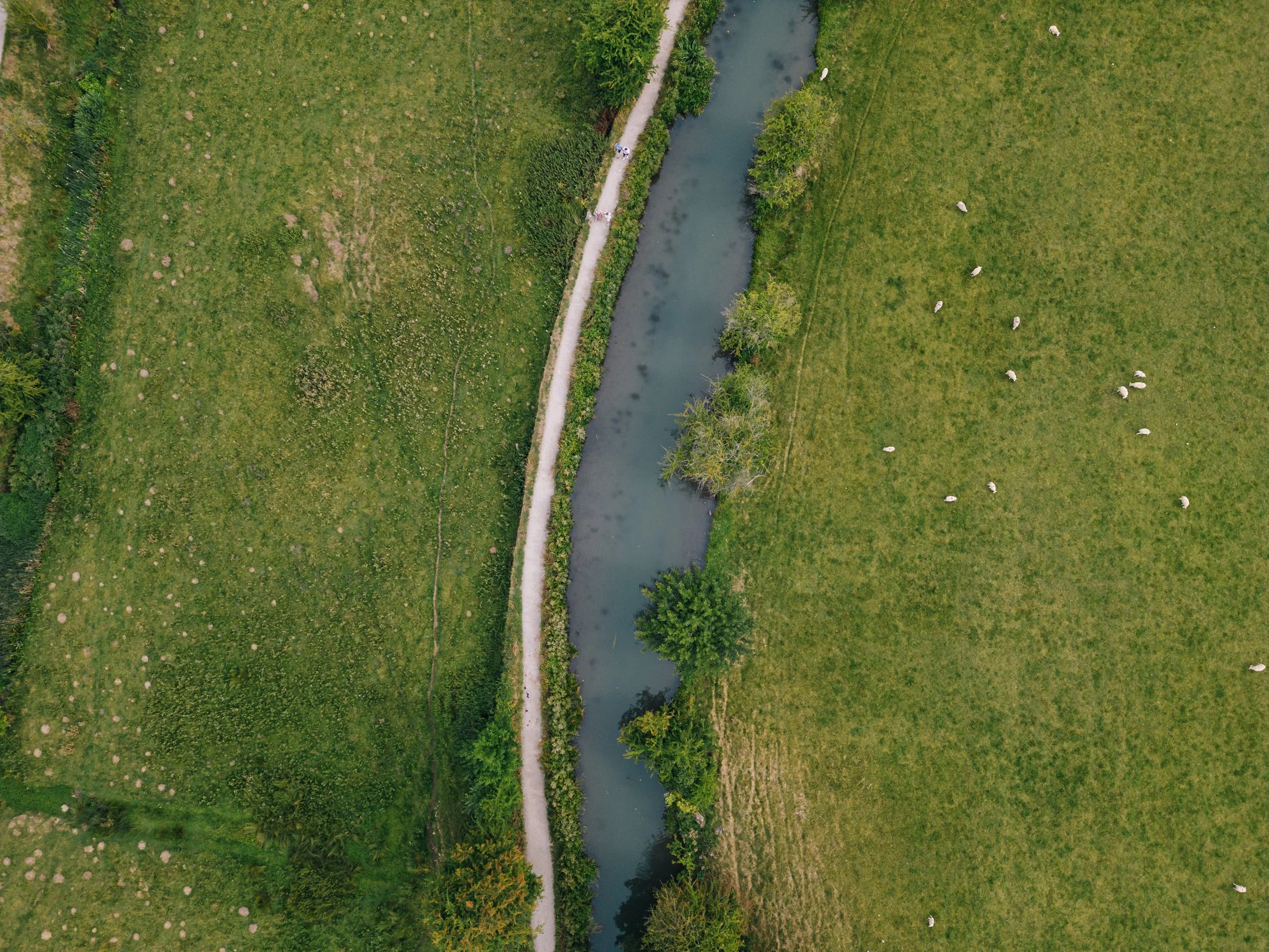 DJI_0062.jpg