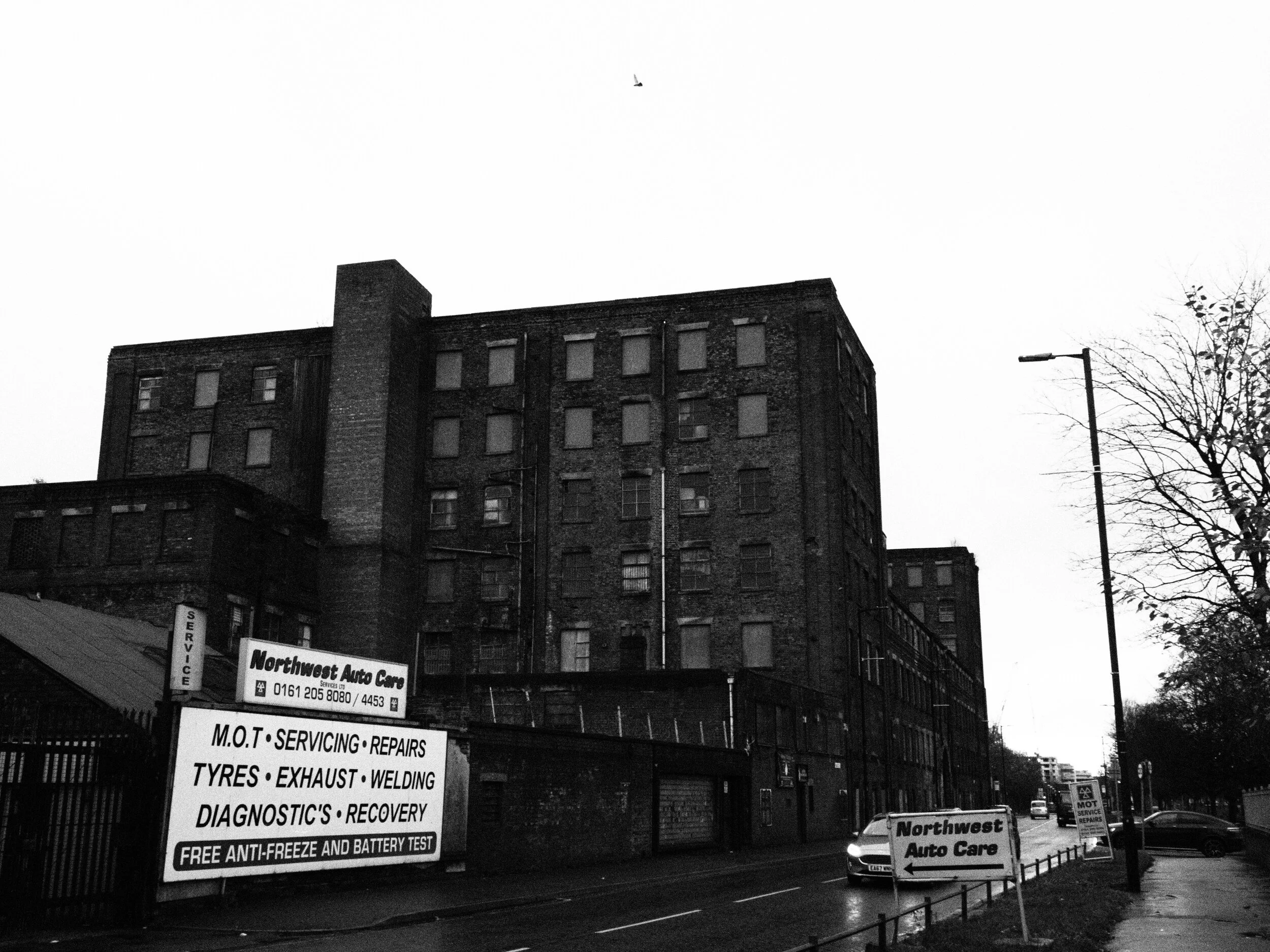 Manchester-2019-Zenaide-Key-16.JPG