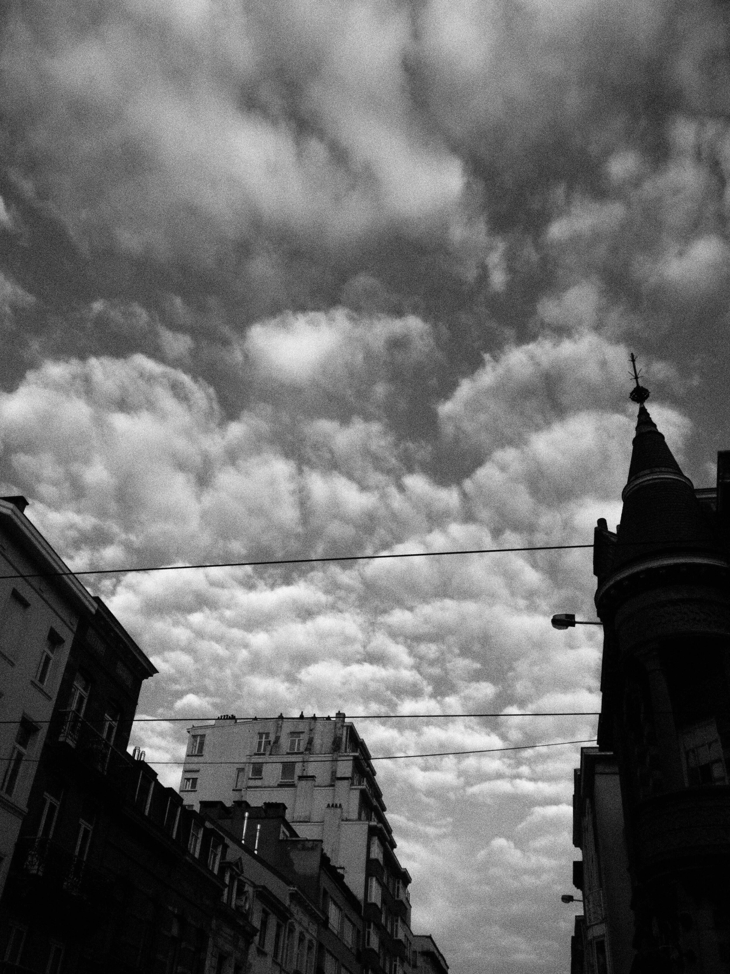 zenaide-key-Brussels-2019-01.JPG
