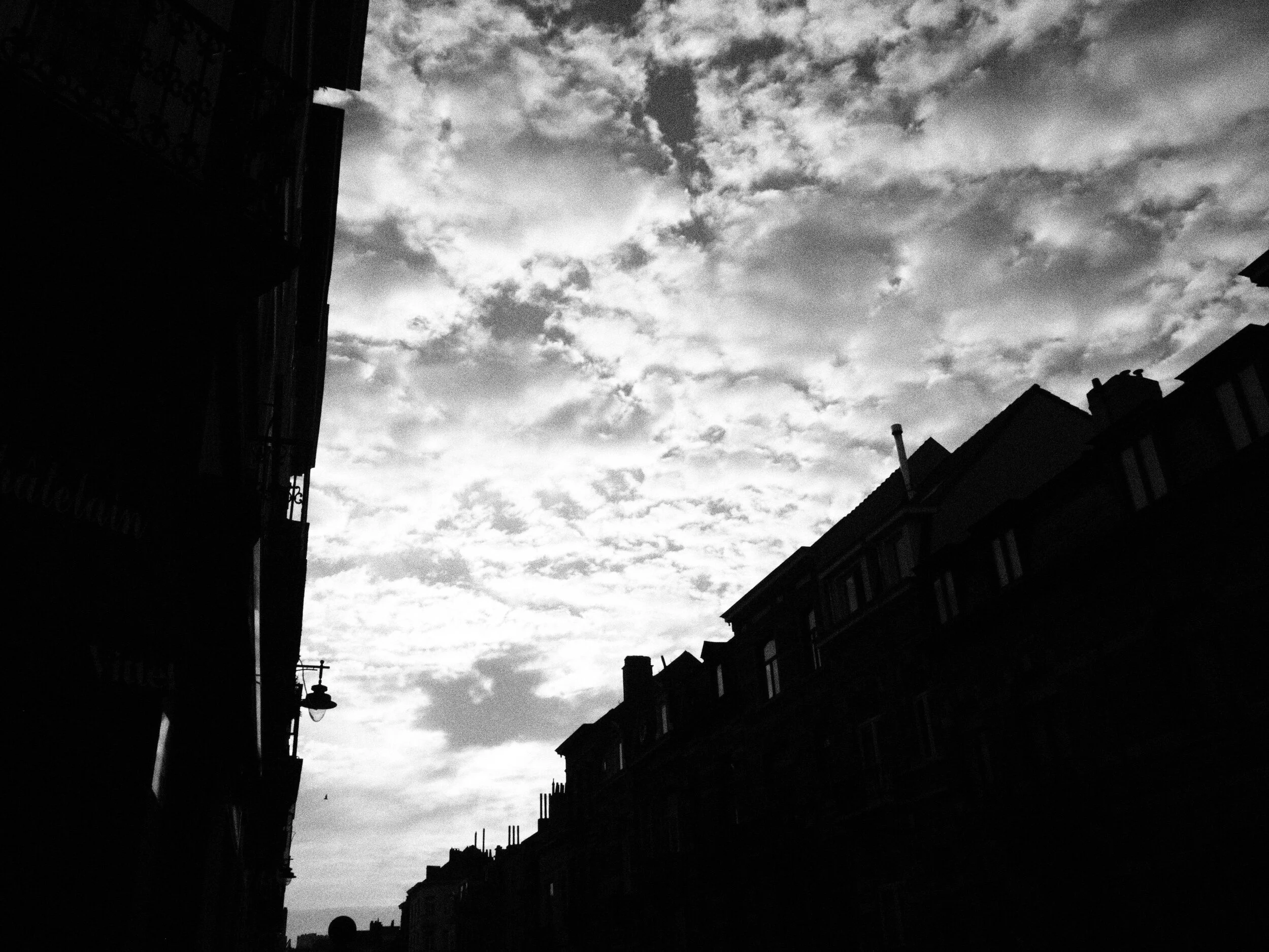 zenaide-key-Brussels-2019-03.JPG