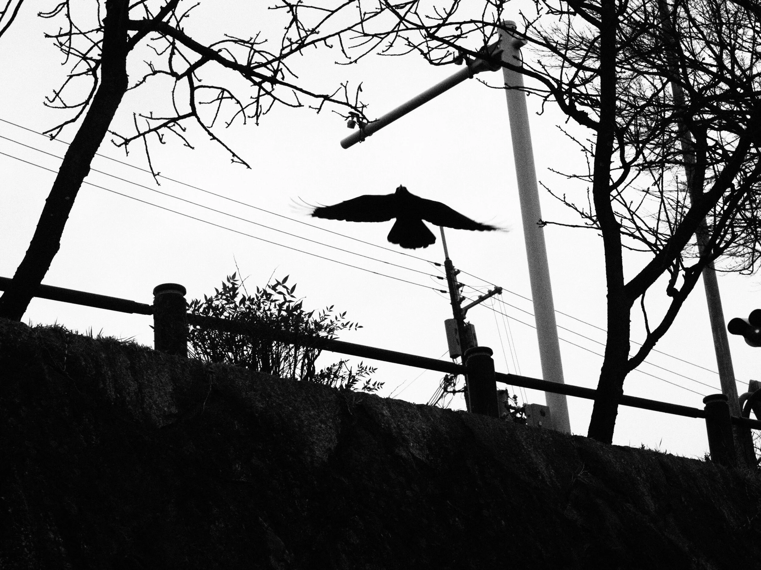 Japon-serie-01-18.JPG