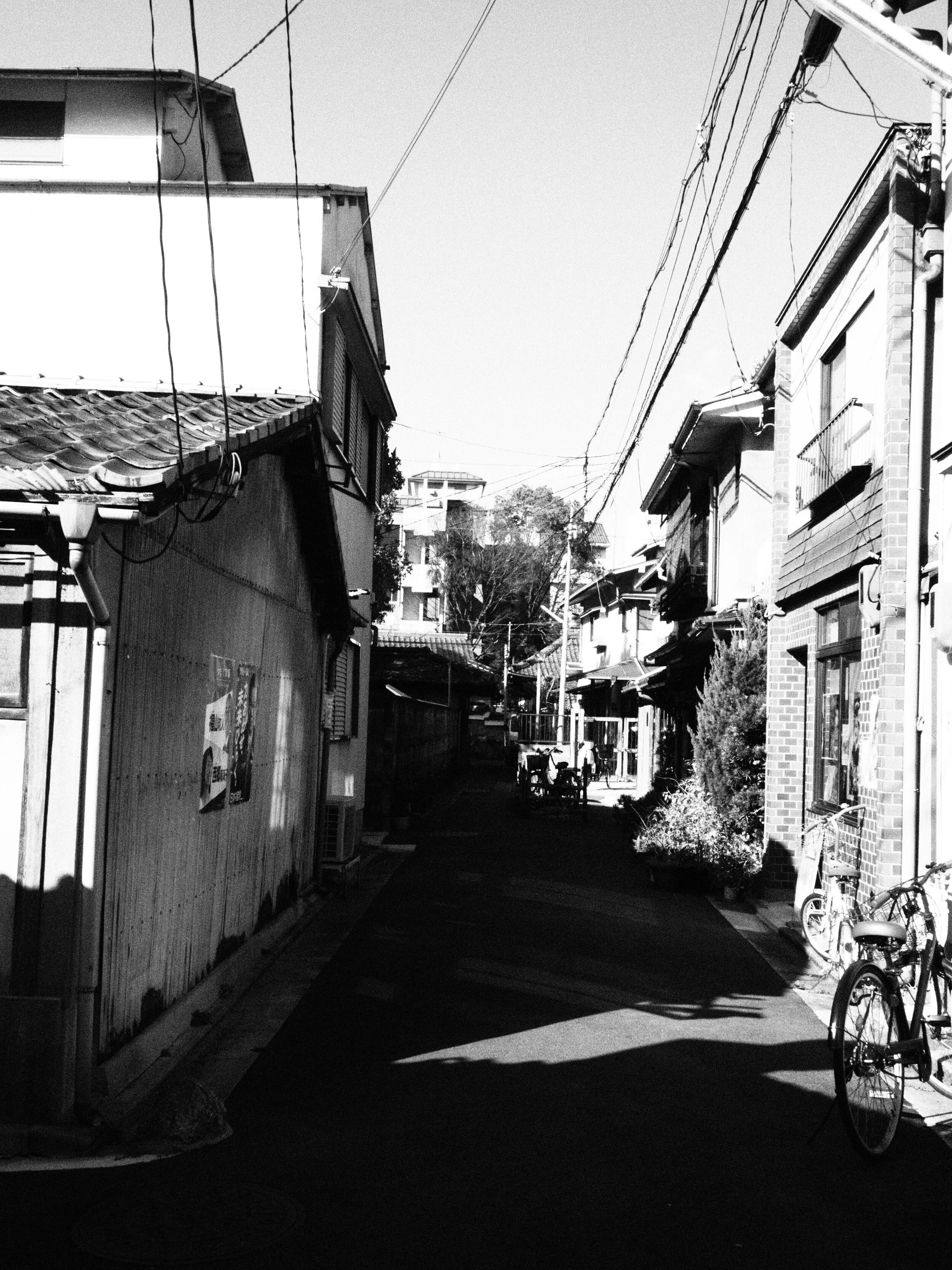 Japan-Kyoto-Zenaide-Key-06.JPG