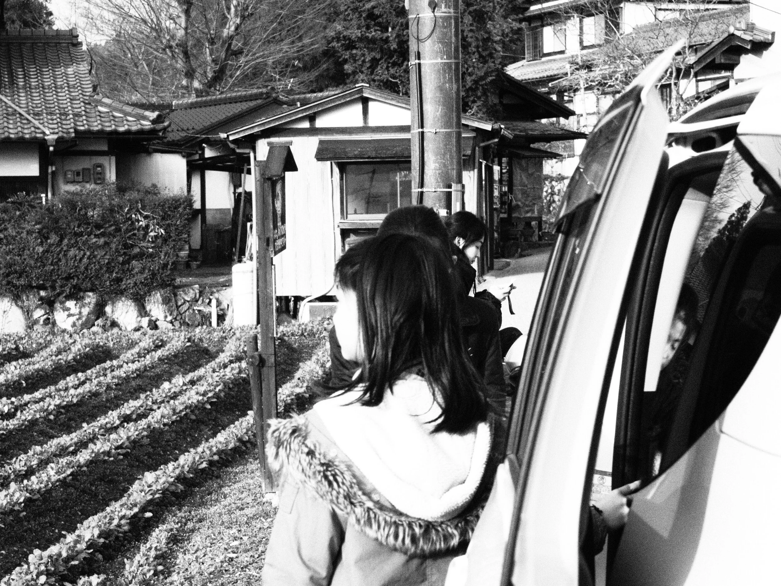 Japan-Kyoto-Zenaide-Key-15.JPG