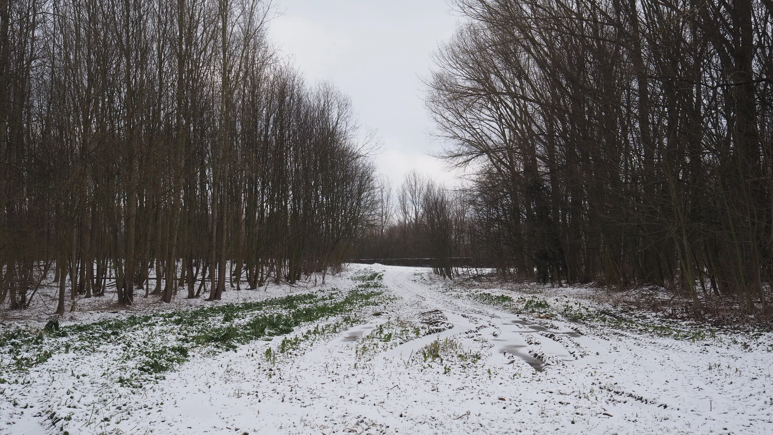 Zenaide-Key-The-place-I-live-Ep01-Under-the-Snow-21.JPG