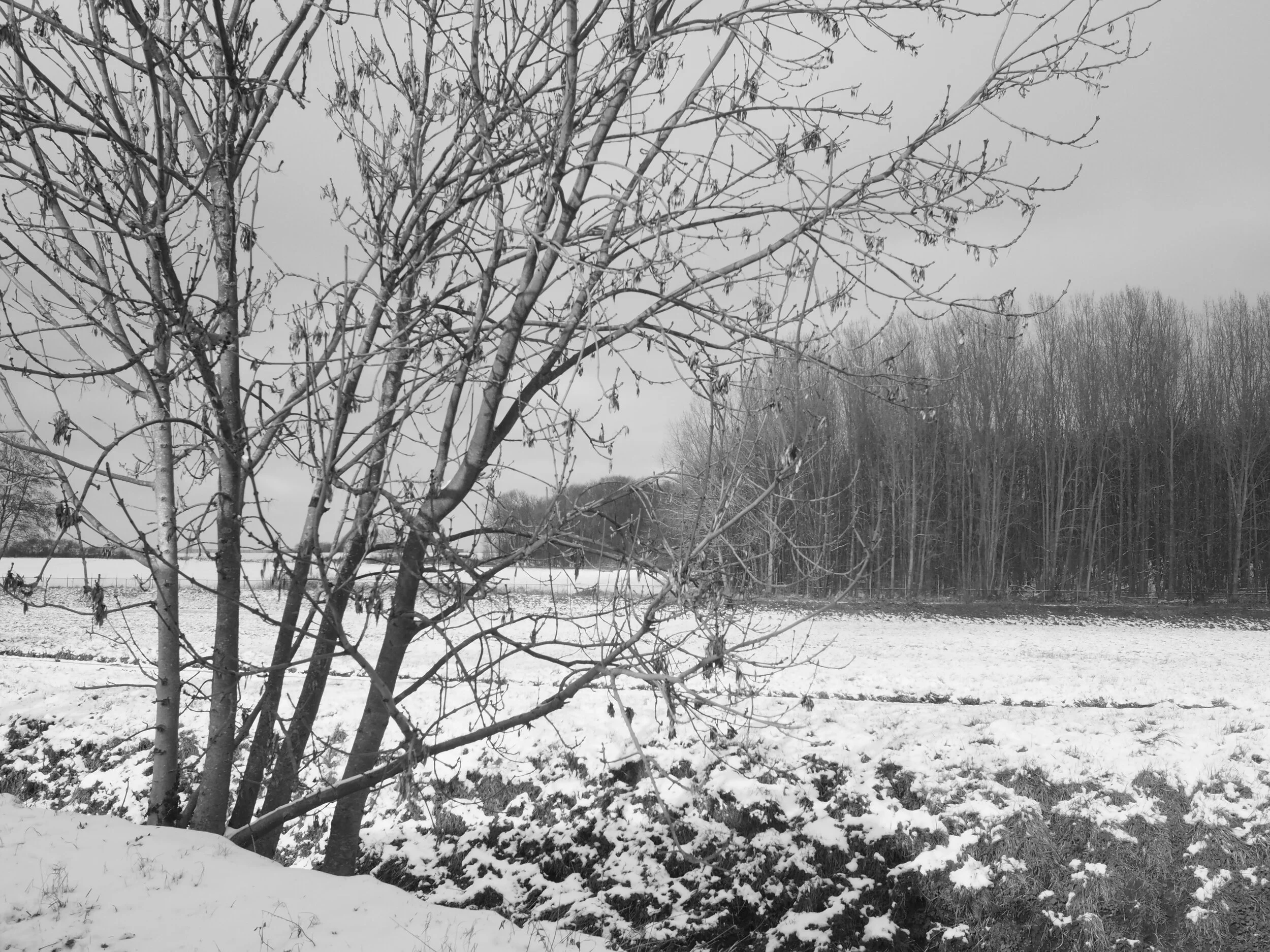 Zenaide-Key-The-place-I-live-Ep01-Under-the-Snow-08-Ter.JPG