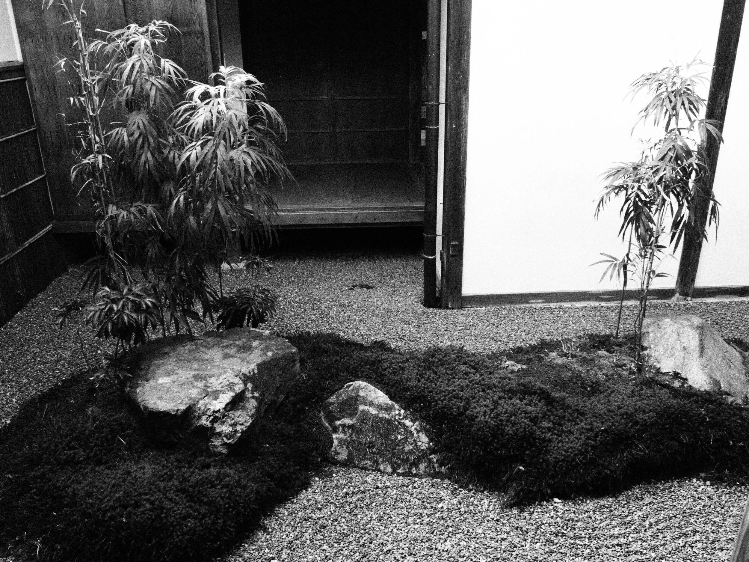 Zenaide-Key-Sanzen-In-Temple-013.JPG