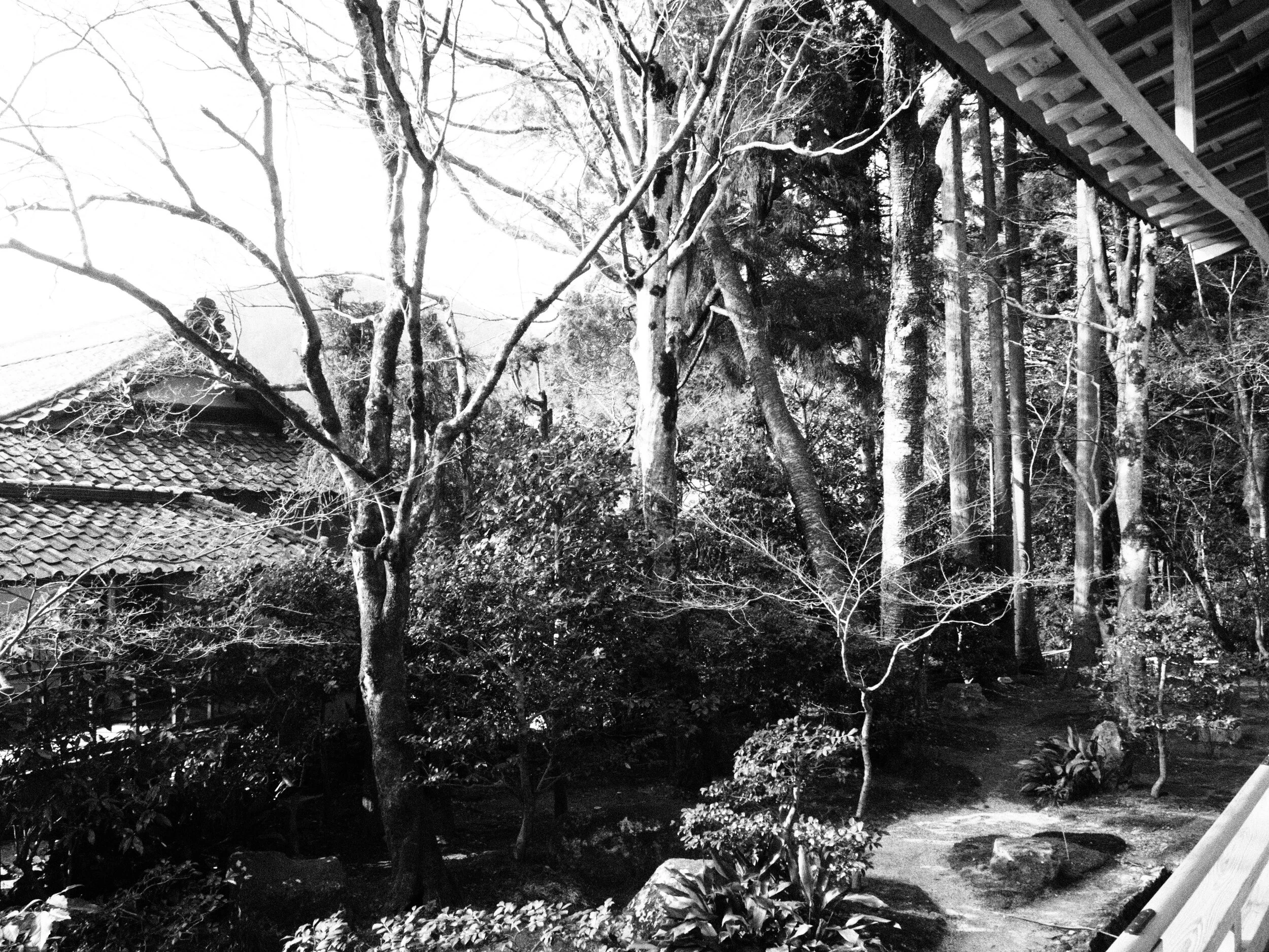 Zenaide-Key-Sanzen-In-Temple-015.JPG