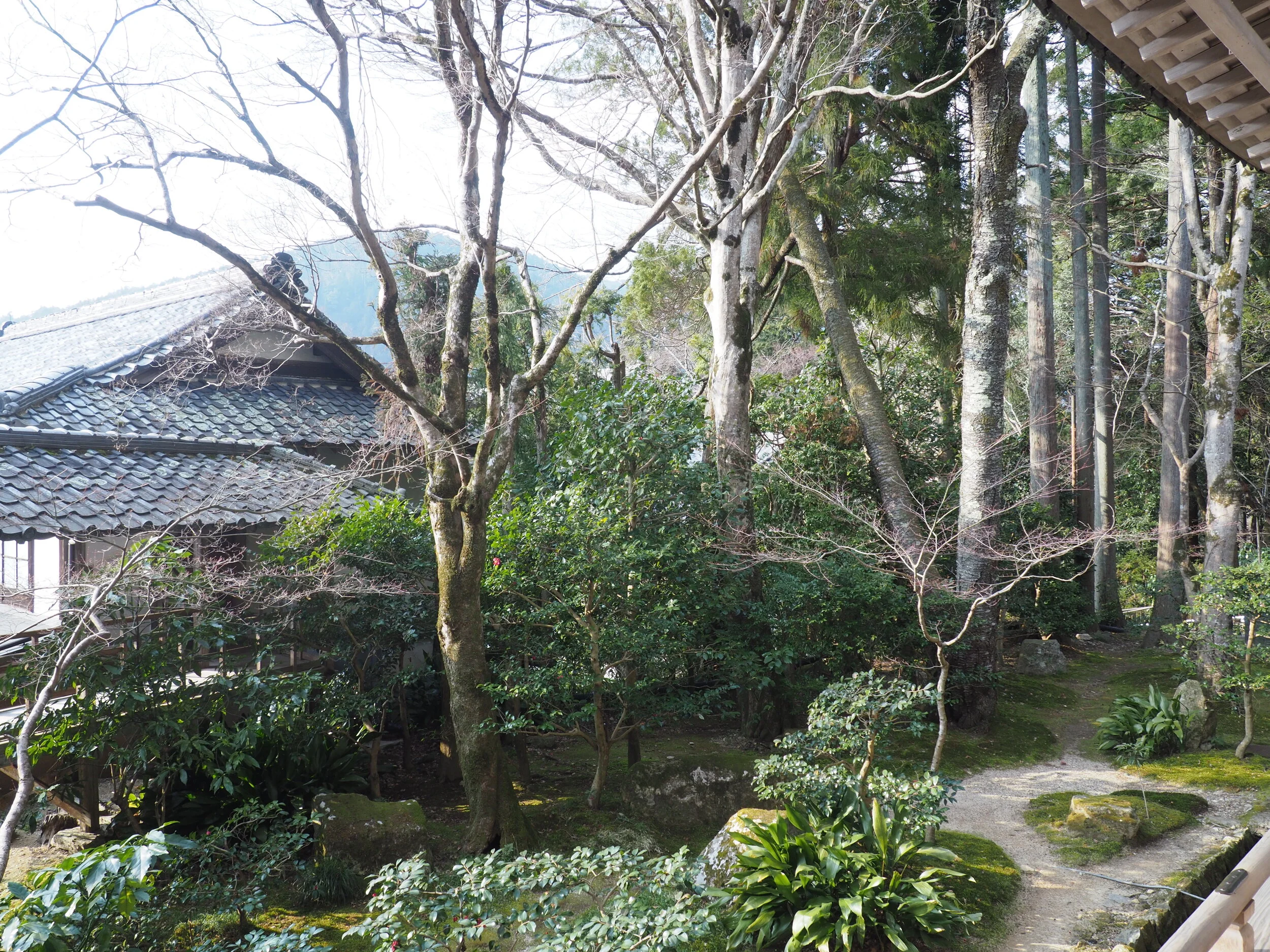 Zenaide-Key-Sanzen-In-Temple-016.JPG