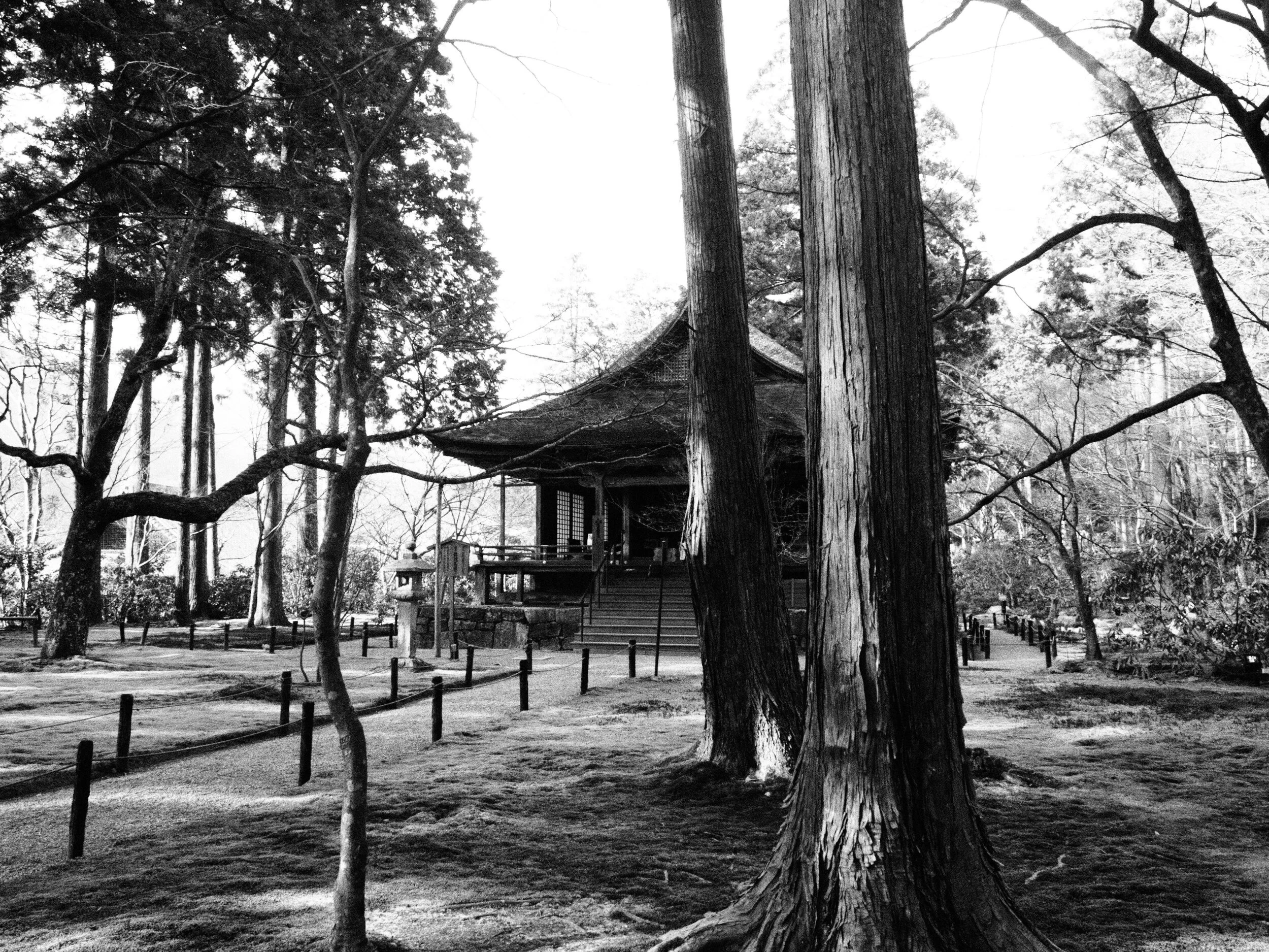Zenaide-Key-Sanzen-In-Temple-019.JPG