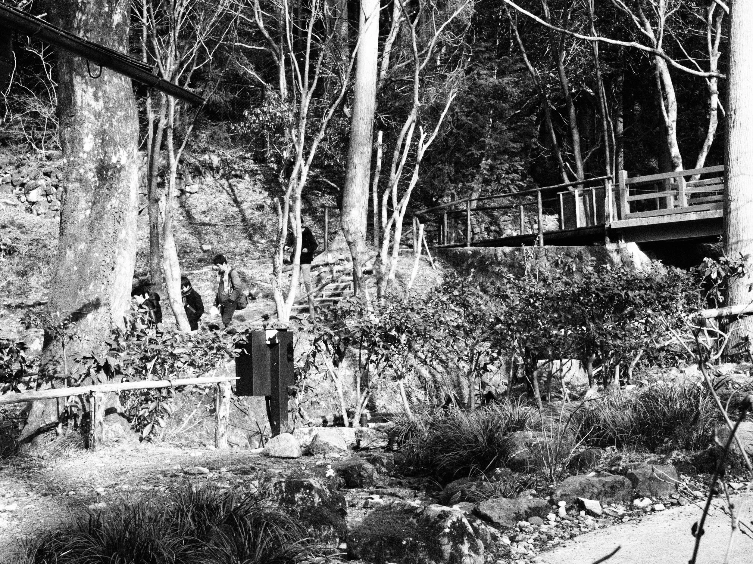 Zenaide-Key-Sanzen-In-Temple-024.JPG