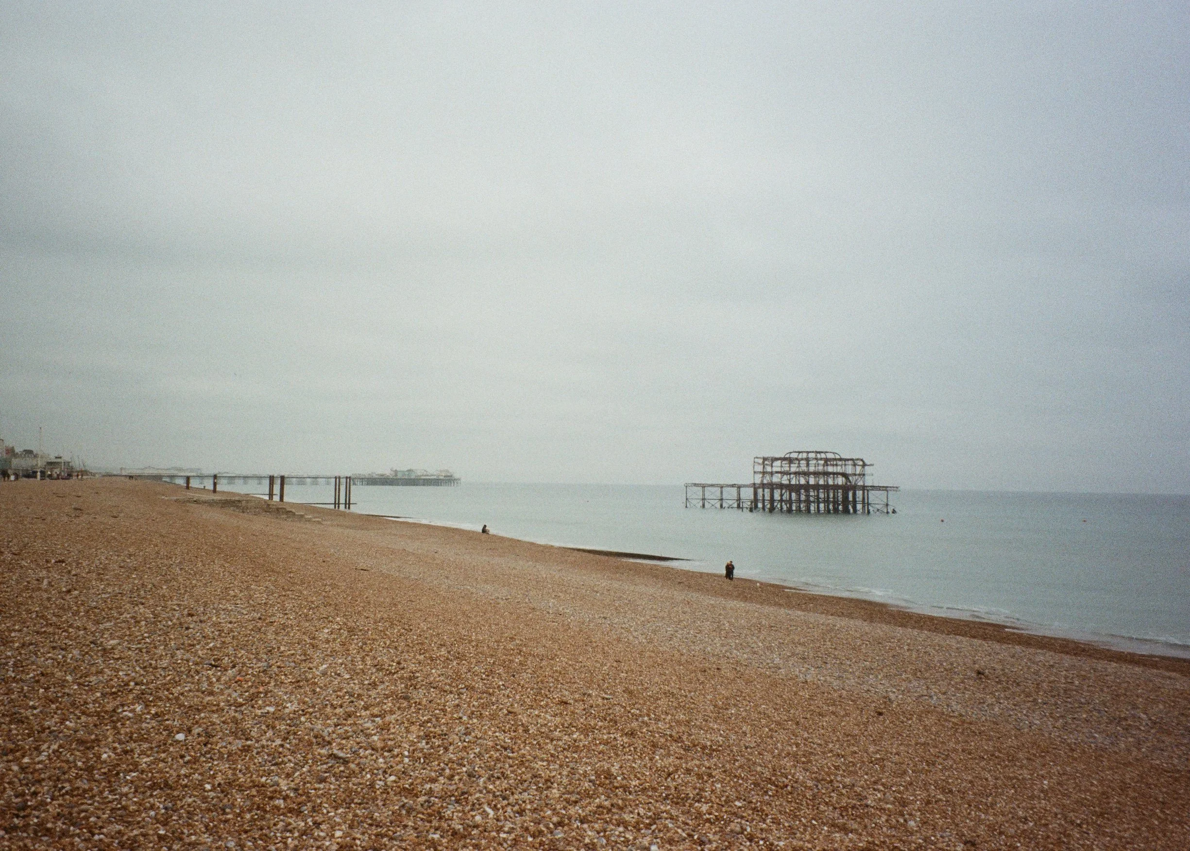 Brighton_Zénaïde_04.jpg