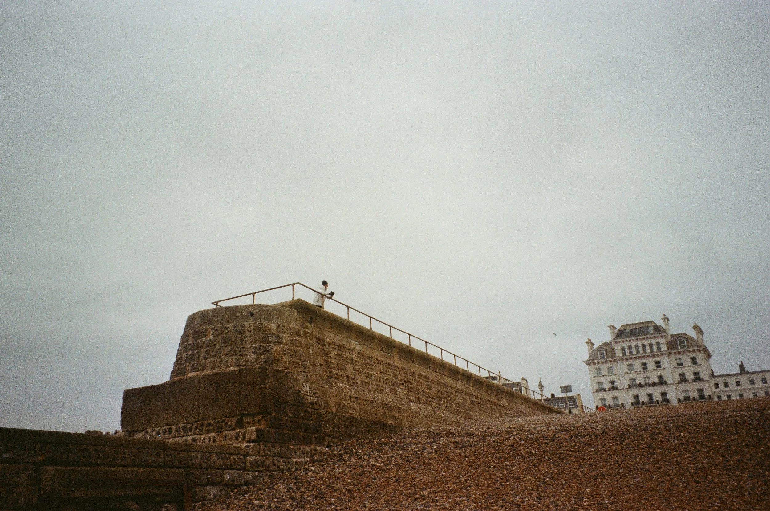 Brighton_Zénaïde_03.jpg