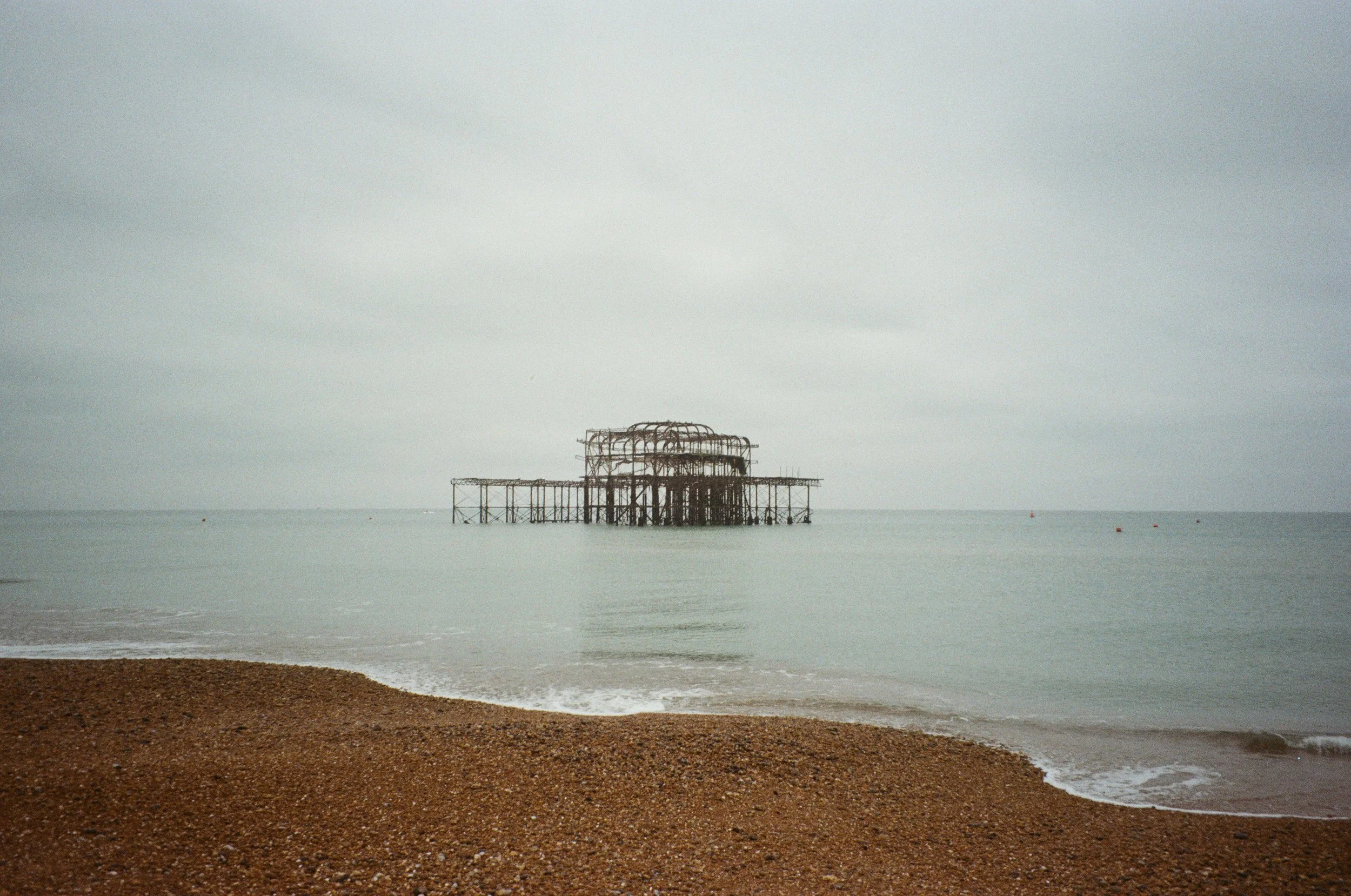 Brighton_Zénaïde_05.jpg