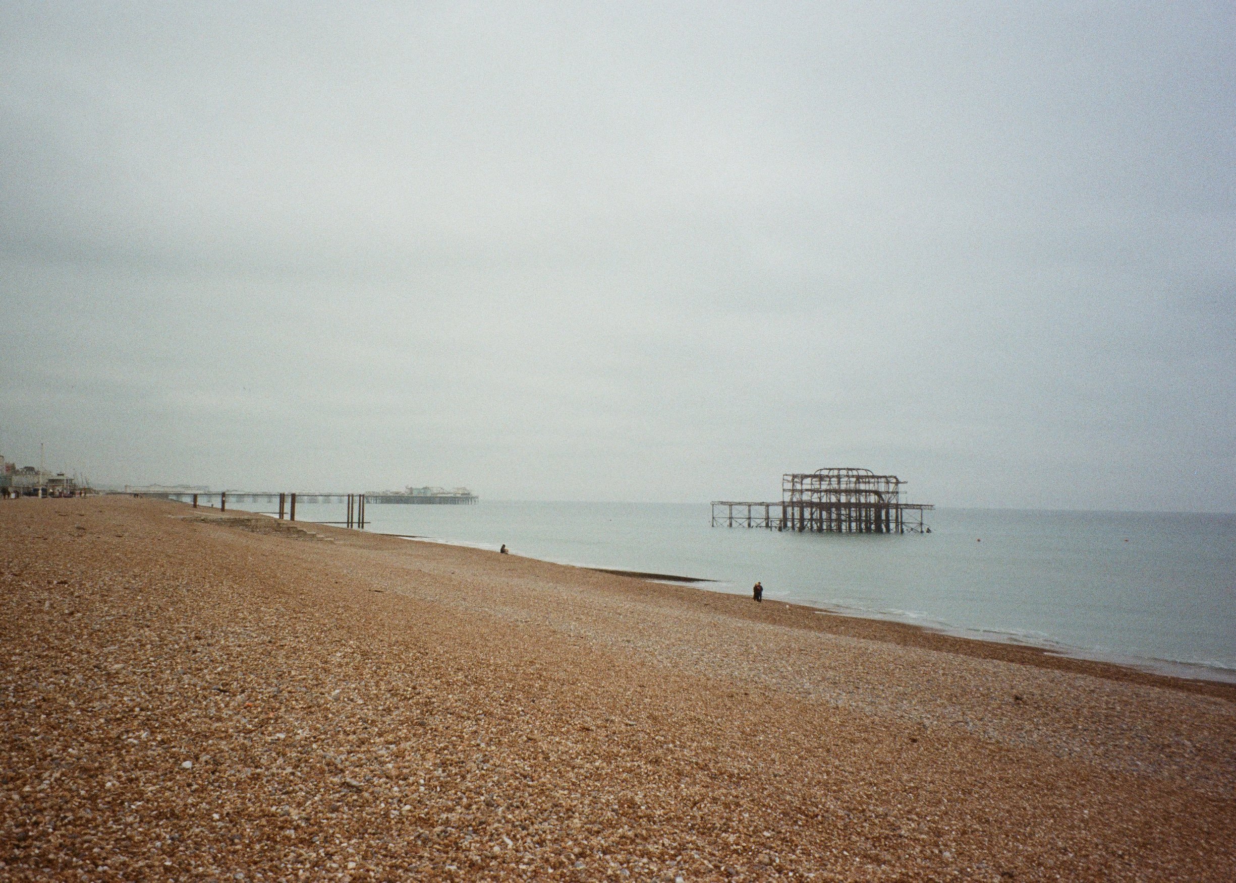 Brighton_Zénaïde_04.jpg