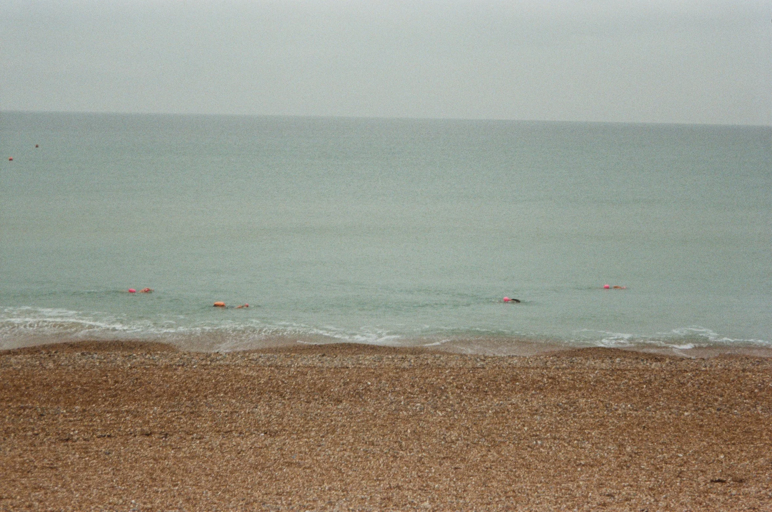 Brighton_Zénaïde_06.jpg