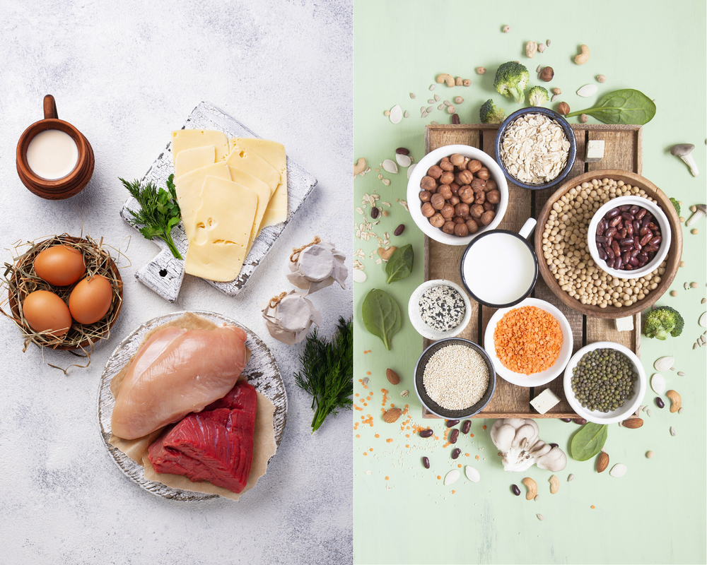 Animal protein vs plant protein - how do they stack up? — The Wealth of  Health