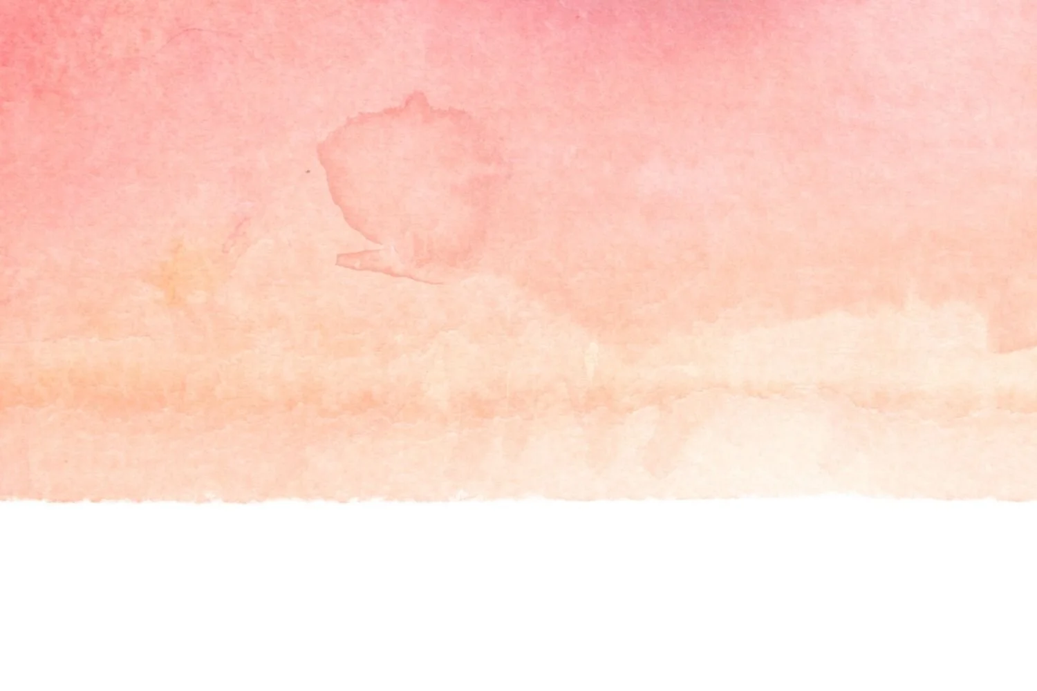 banner drafts.jpg