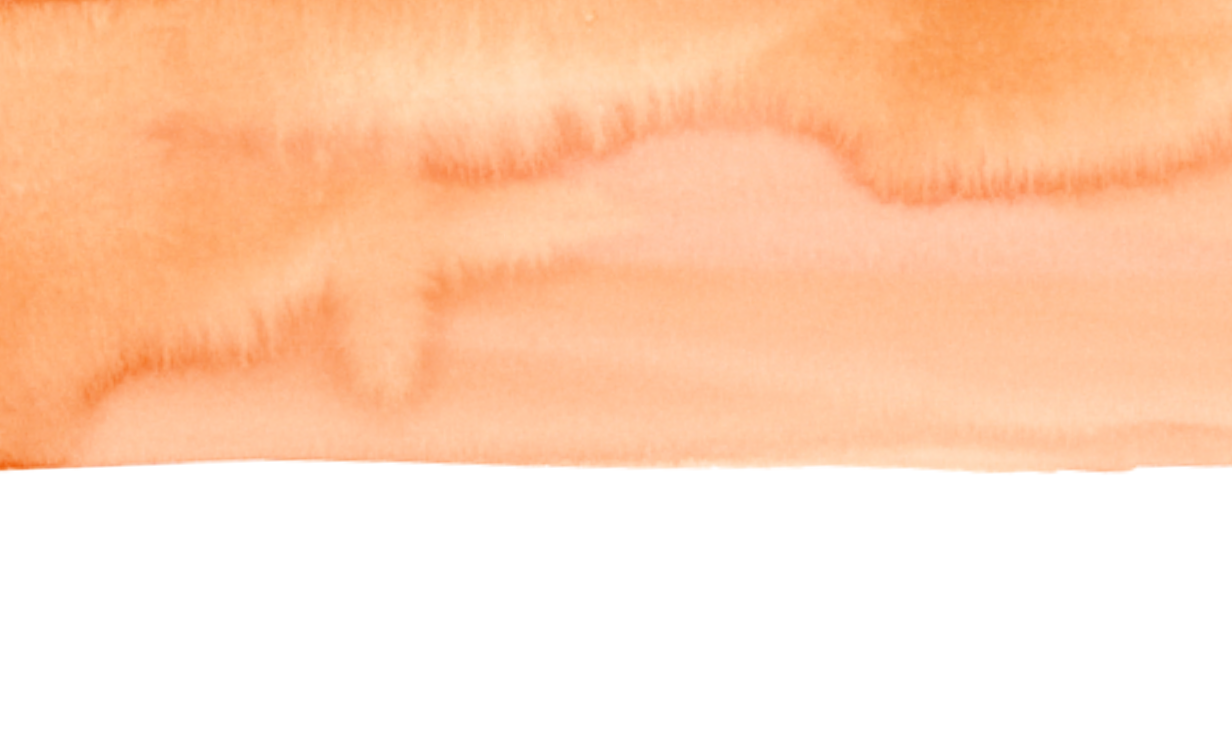 Orange Banner.png