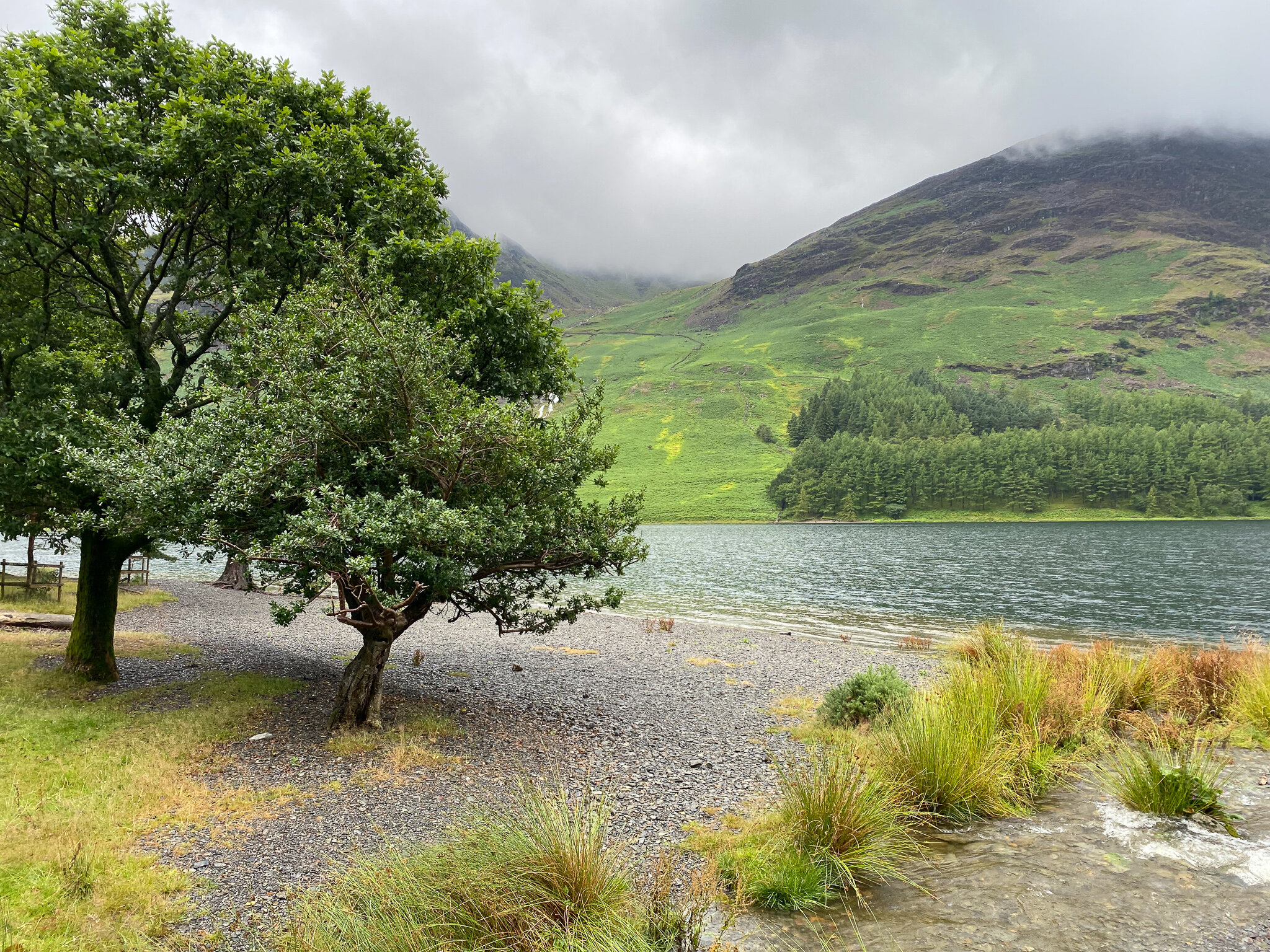 Lake with trees and grassy shore, surrounded by hills under cloudy sky