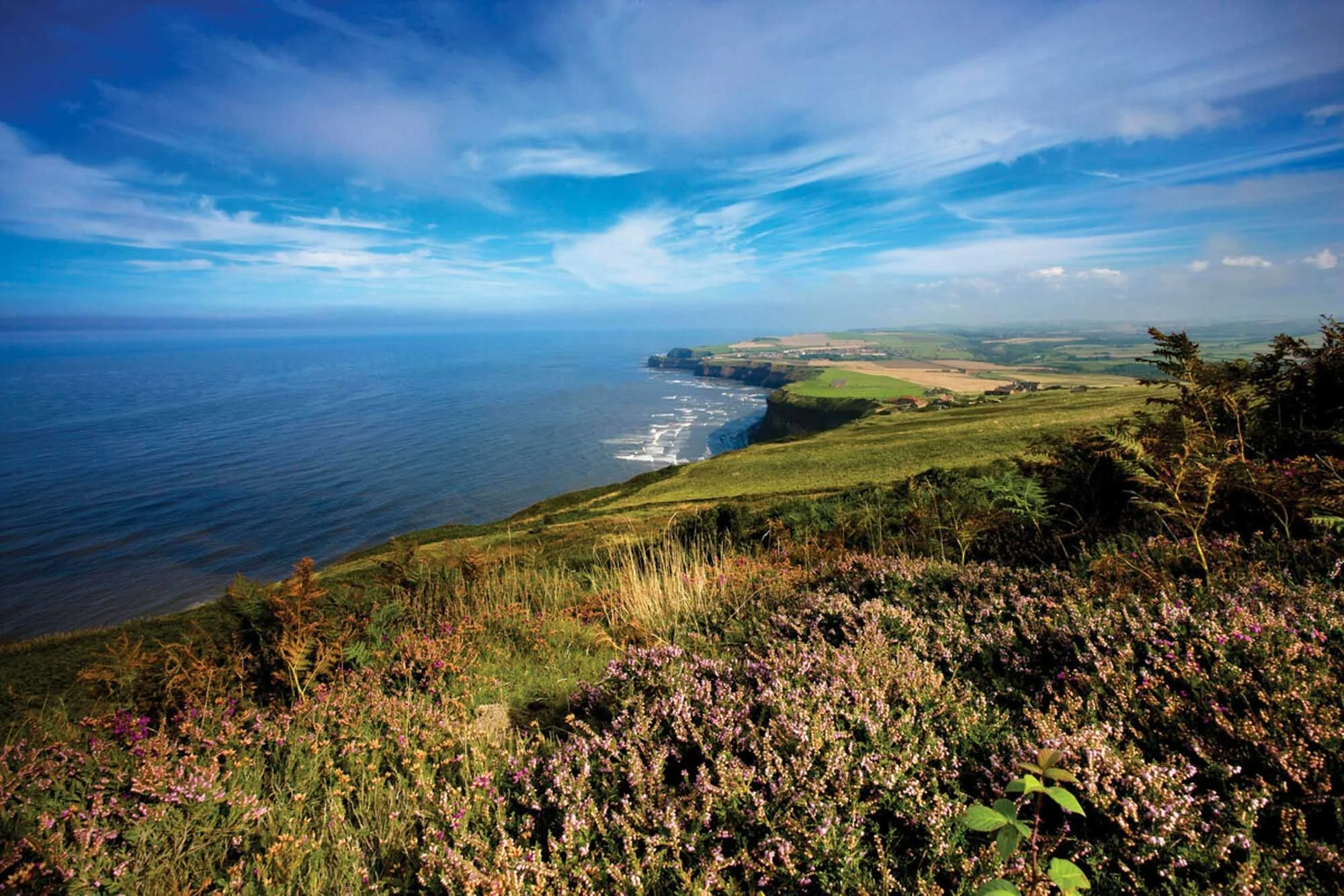 North York Moors Banner-09.jpg