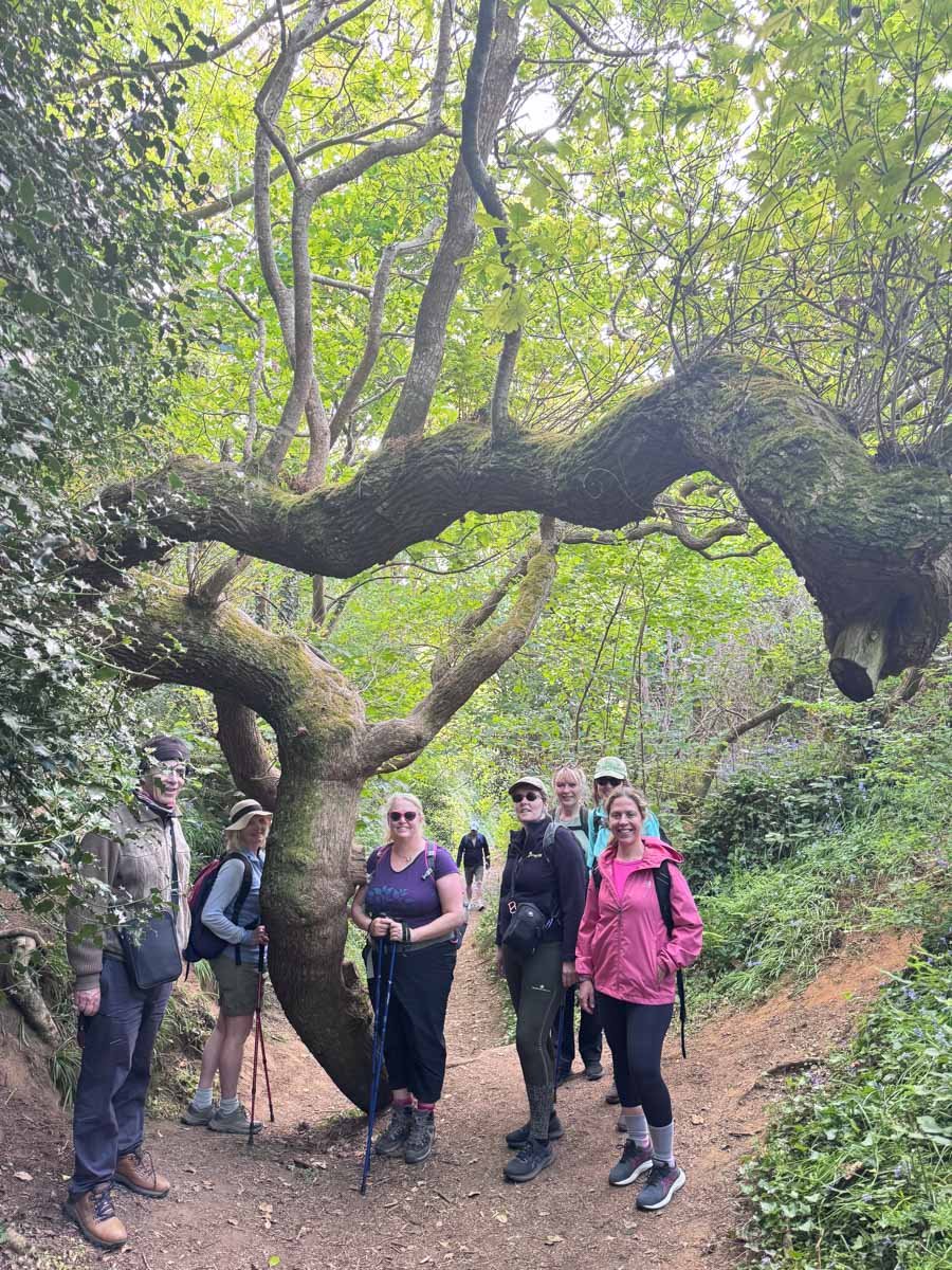 Isle of Wight Walking Holiday-12.jpg