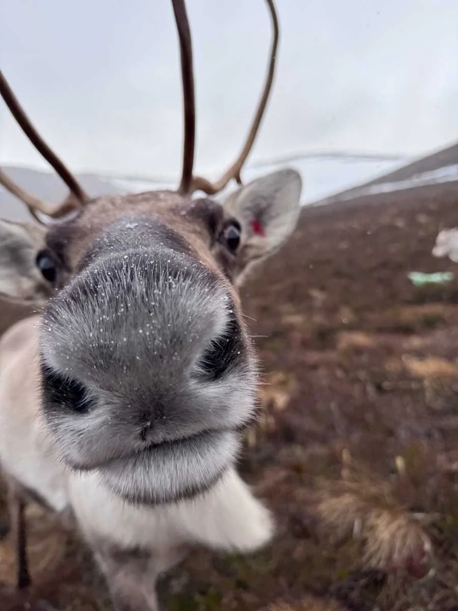 Cairngorms National Park Walking Holidays-2.jpg