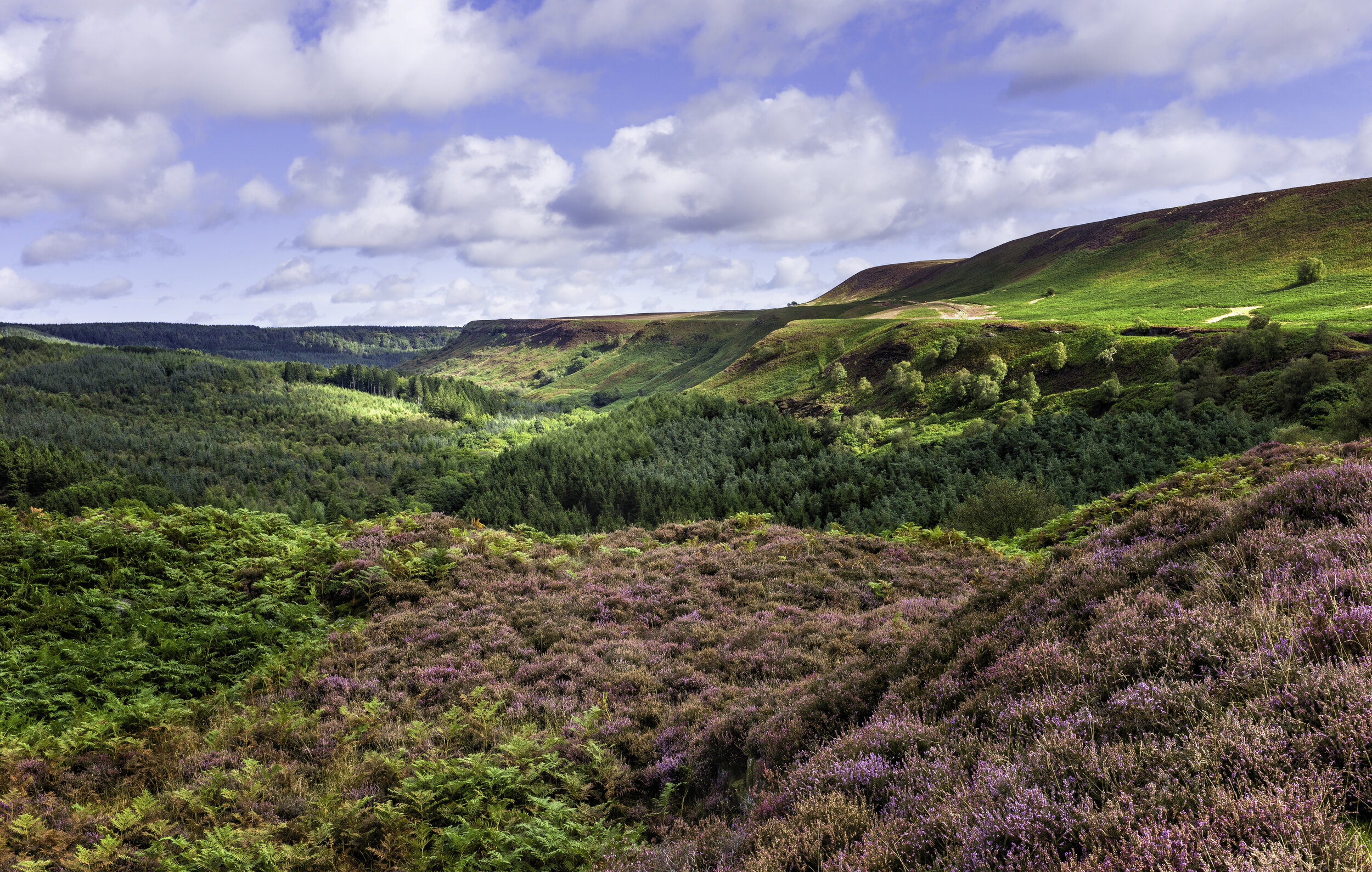 North York Moors Walking Weekend - Lockton — Large Outdoors