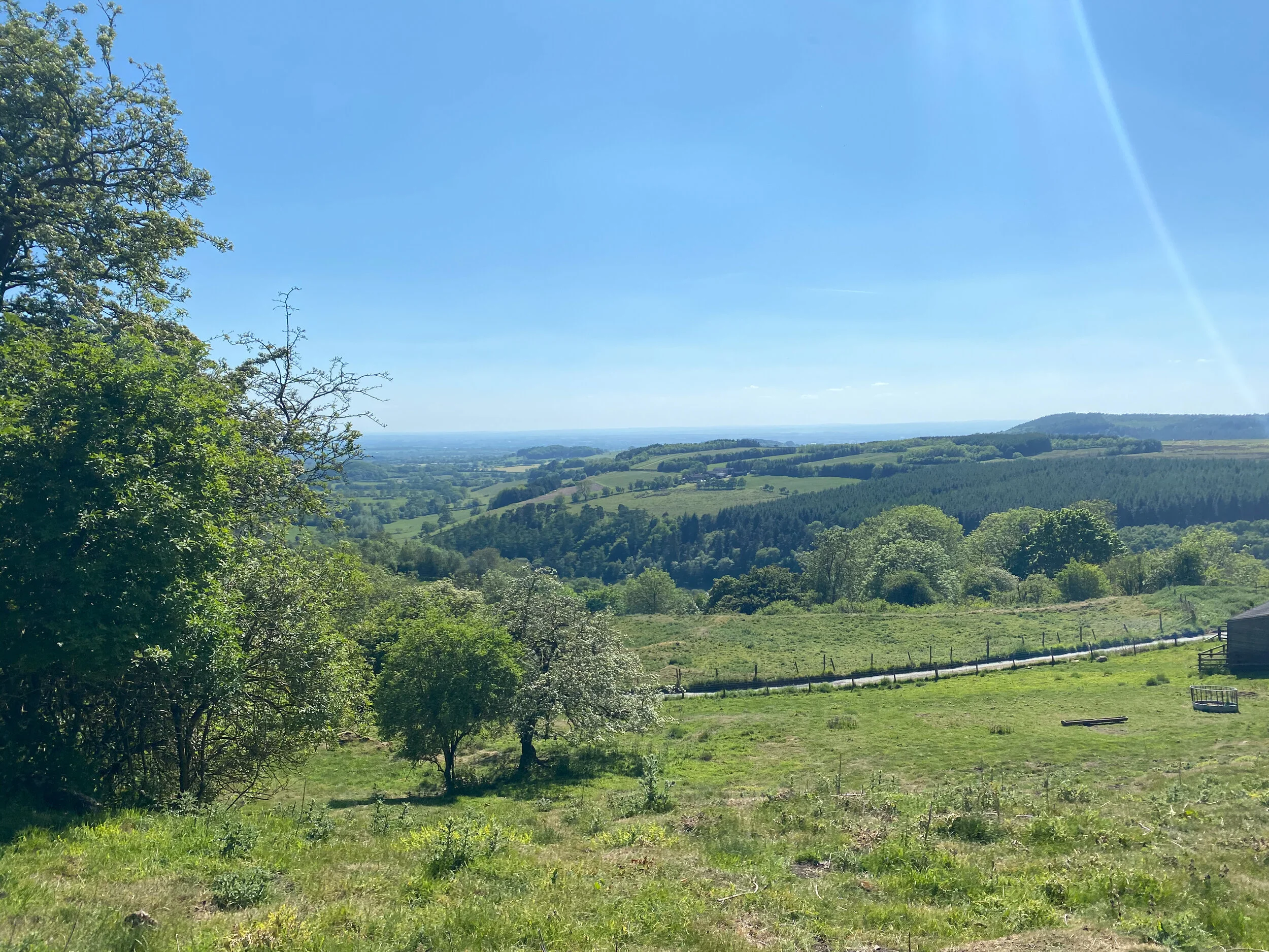 View from Sutton Bank in the North York Moors