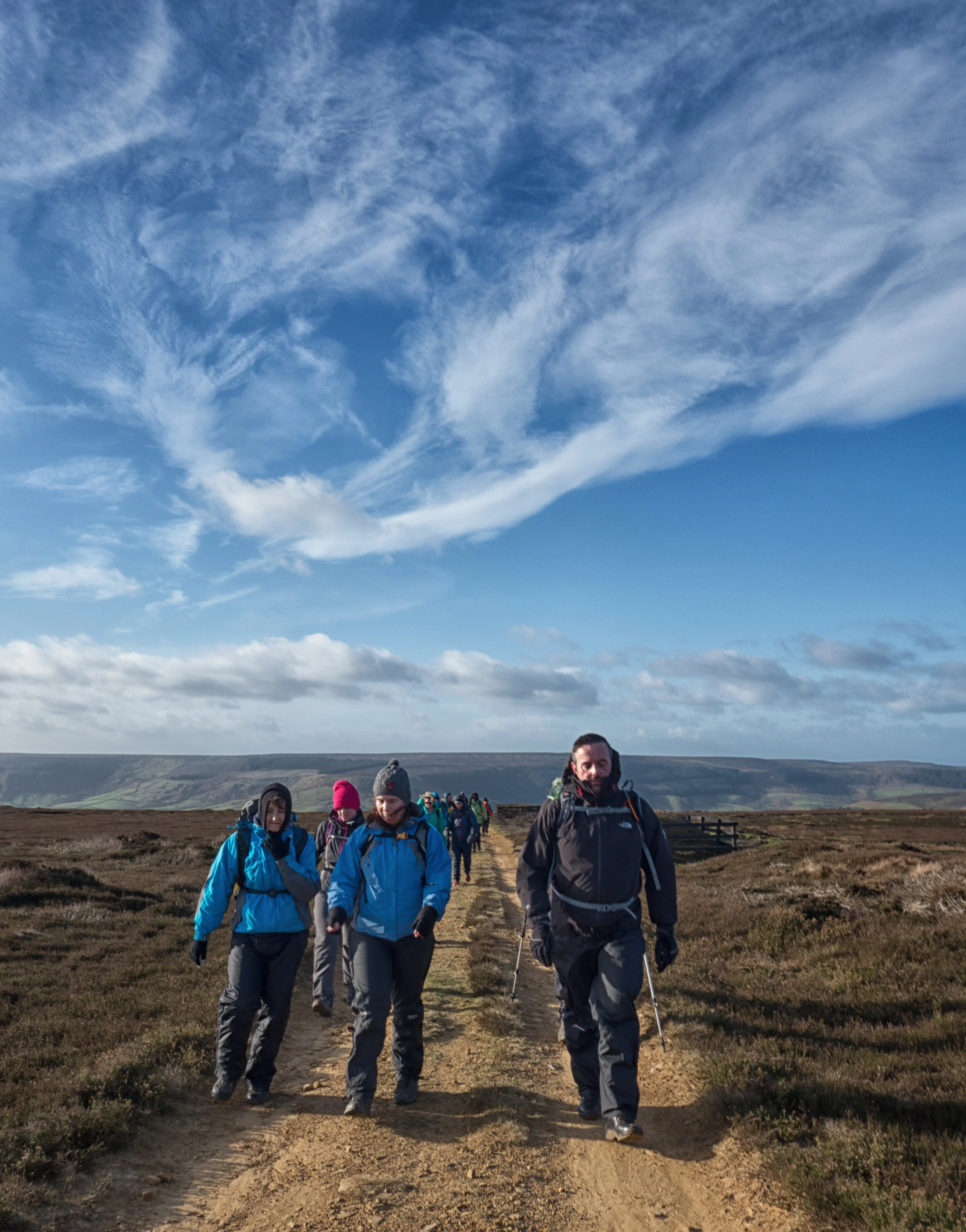 Walking in the North York Moors--5.jpg