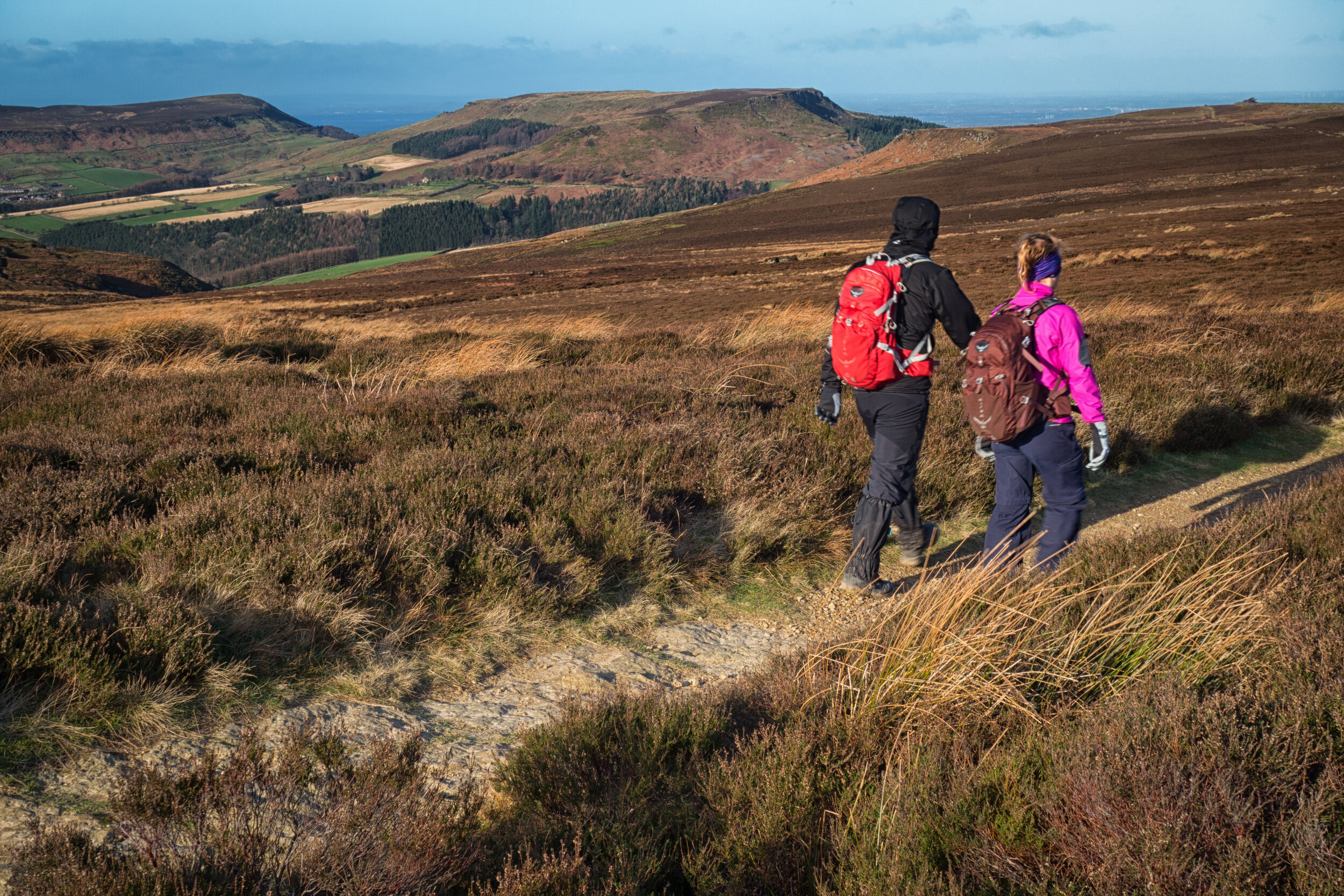 Walking in the North York Moors--6.jpg