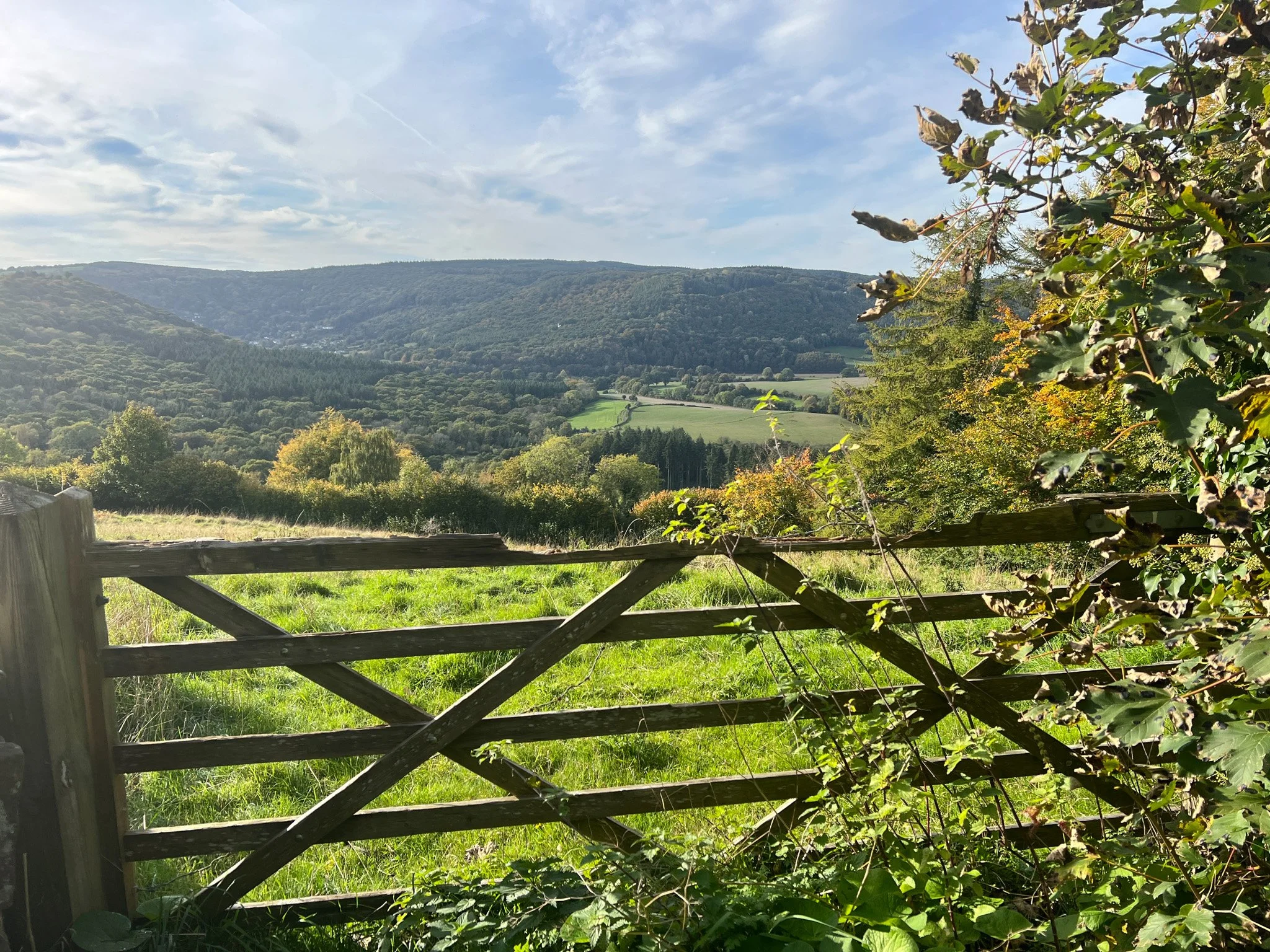 New Year Walking Holiday in the Forest of Dean — Large Outdoors