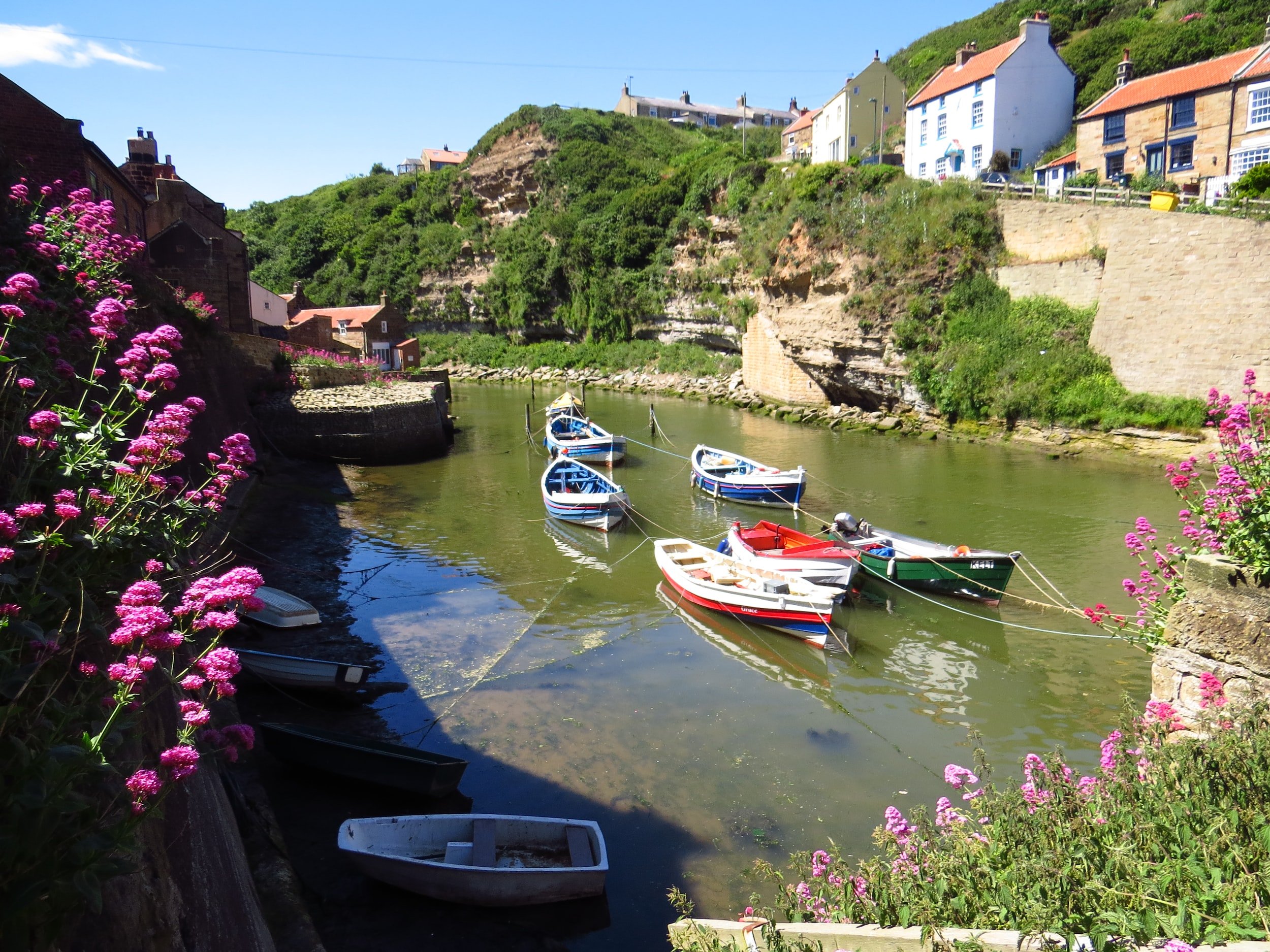 Scenic harbor with colorful boats anchored in calm water, surrounded by lush green hills and traditional village houses; pink flowers in the foreground.