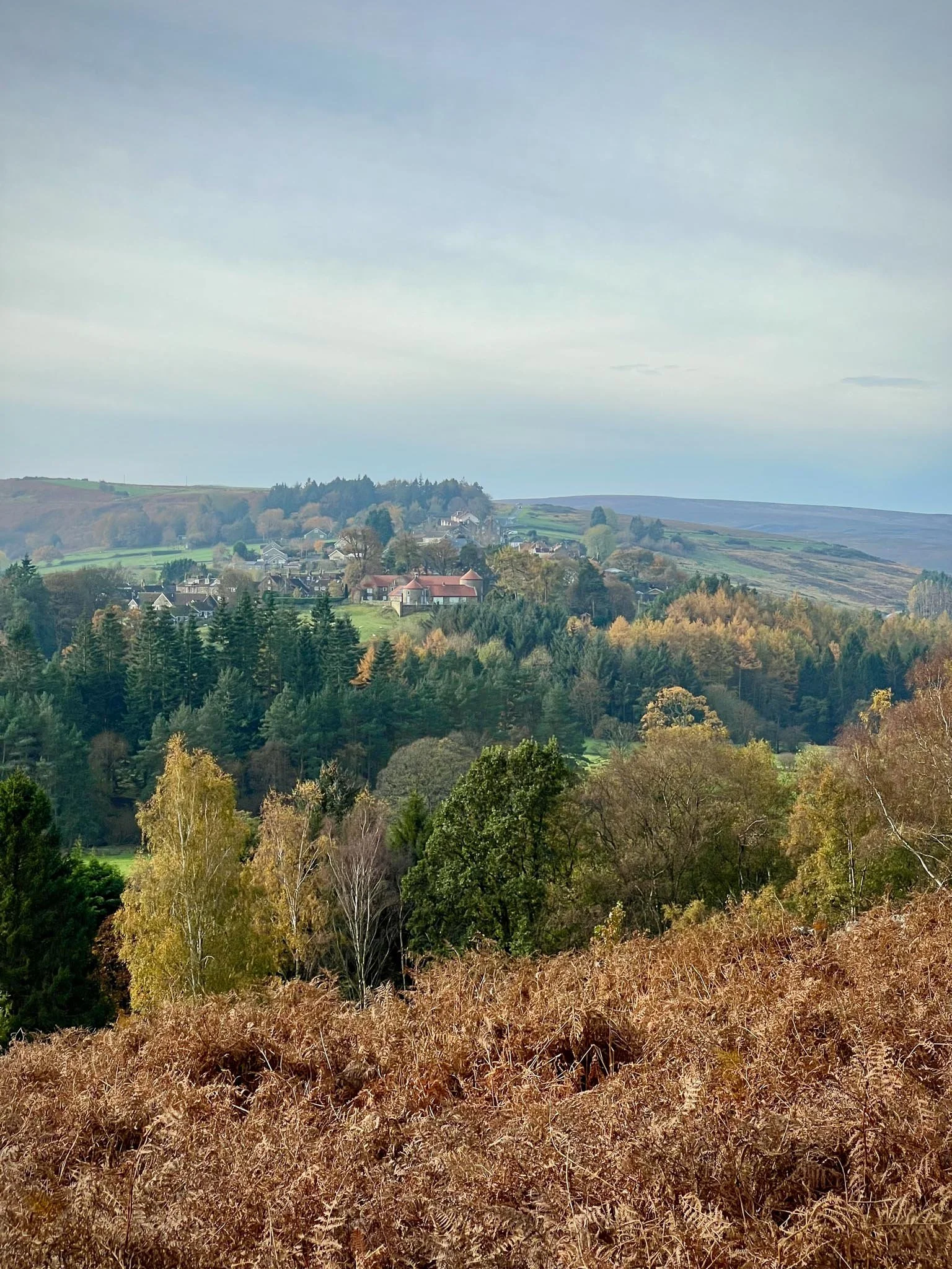 Signature - Dark Skies Weekend in the North York Moors-12.jpg
